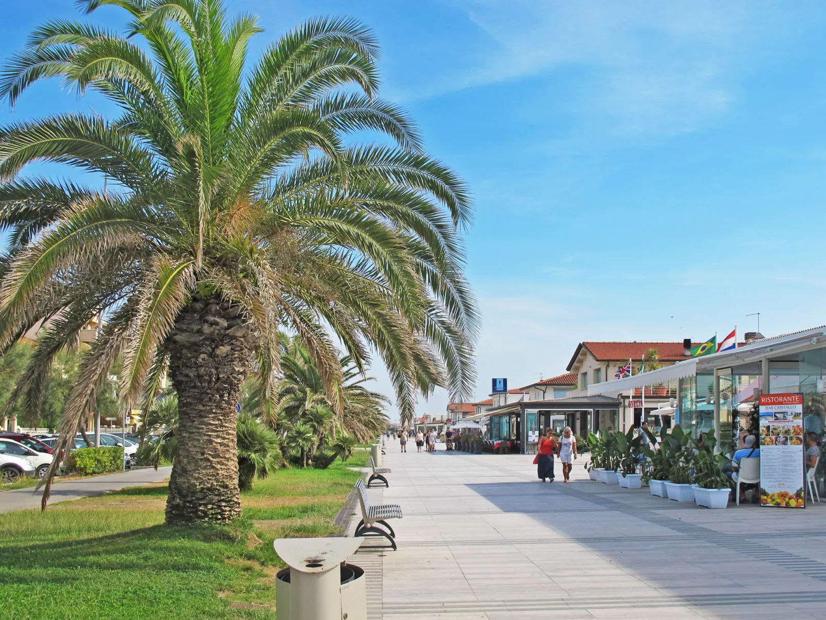 Madda-Area