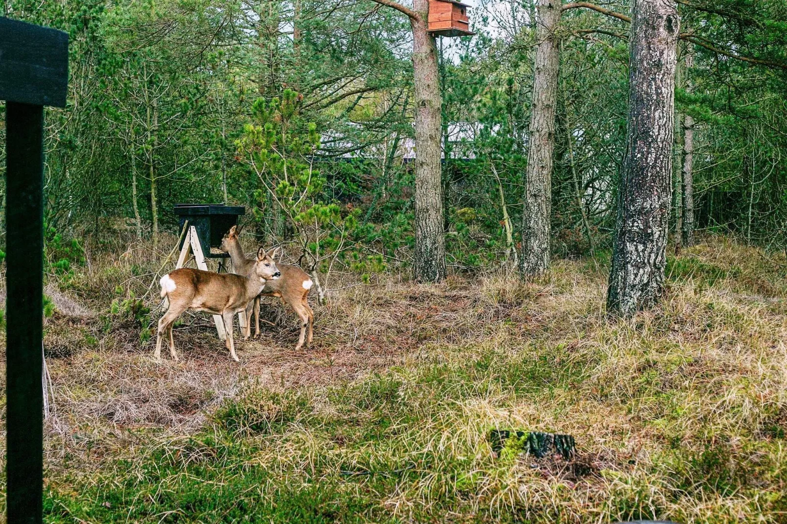 3 person holiday home in Ålbæk-Outdoor