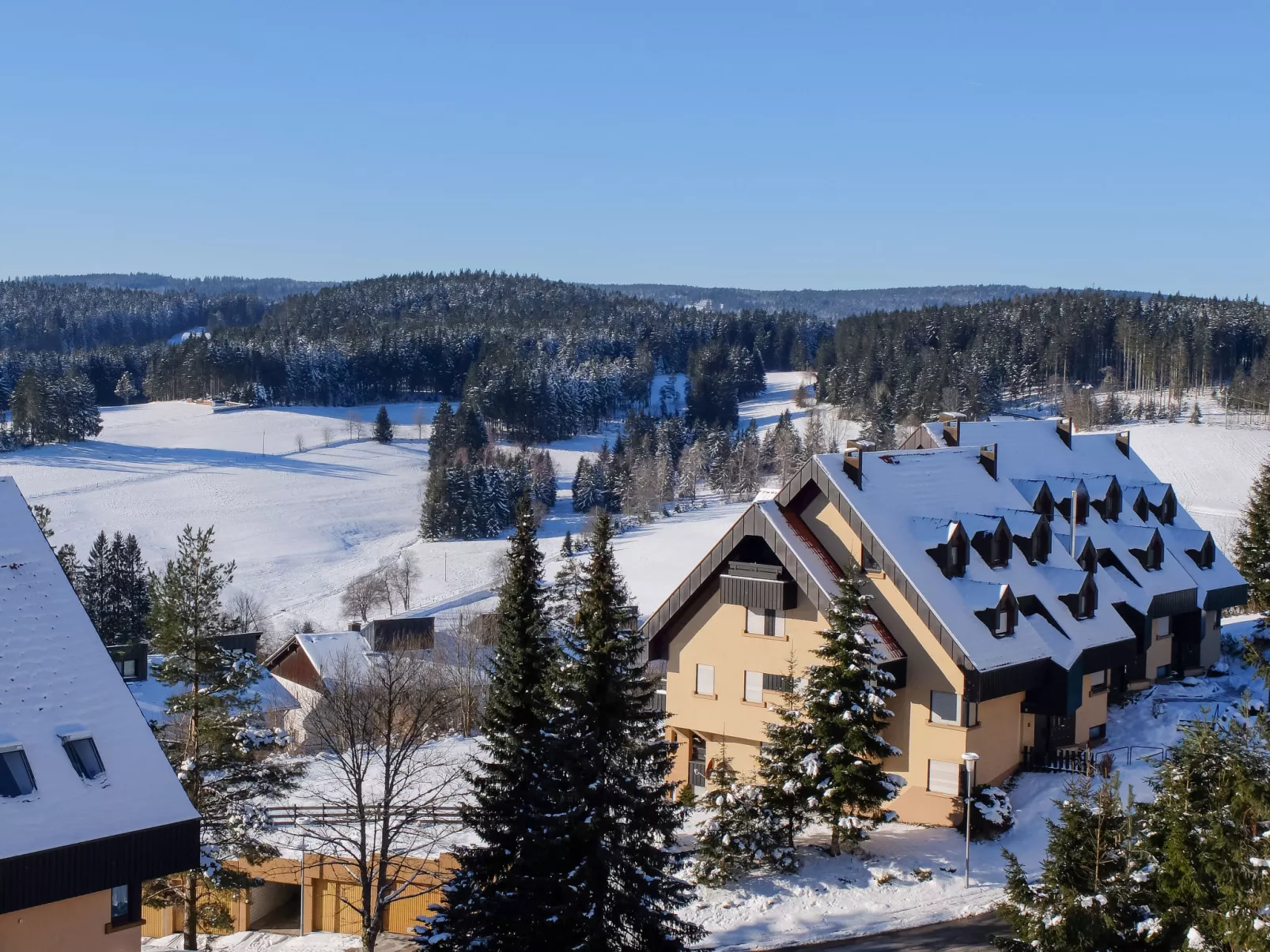 Schwarzwaldblick-Draußen