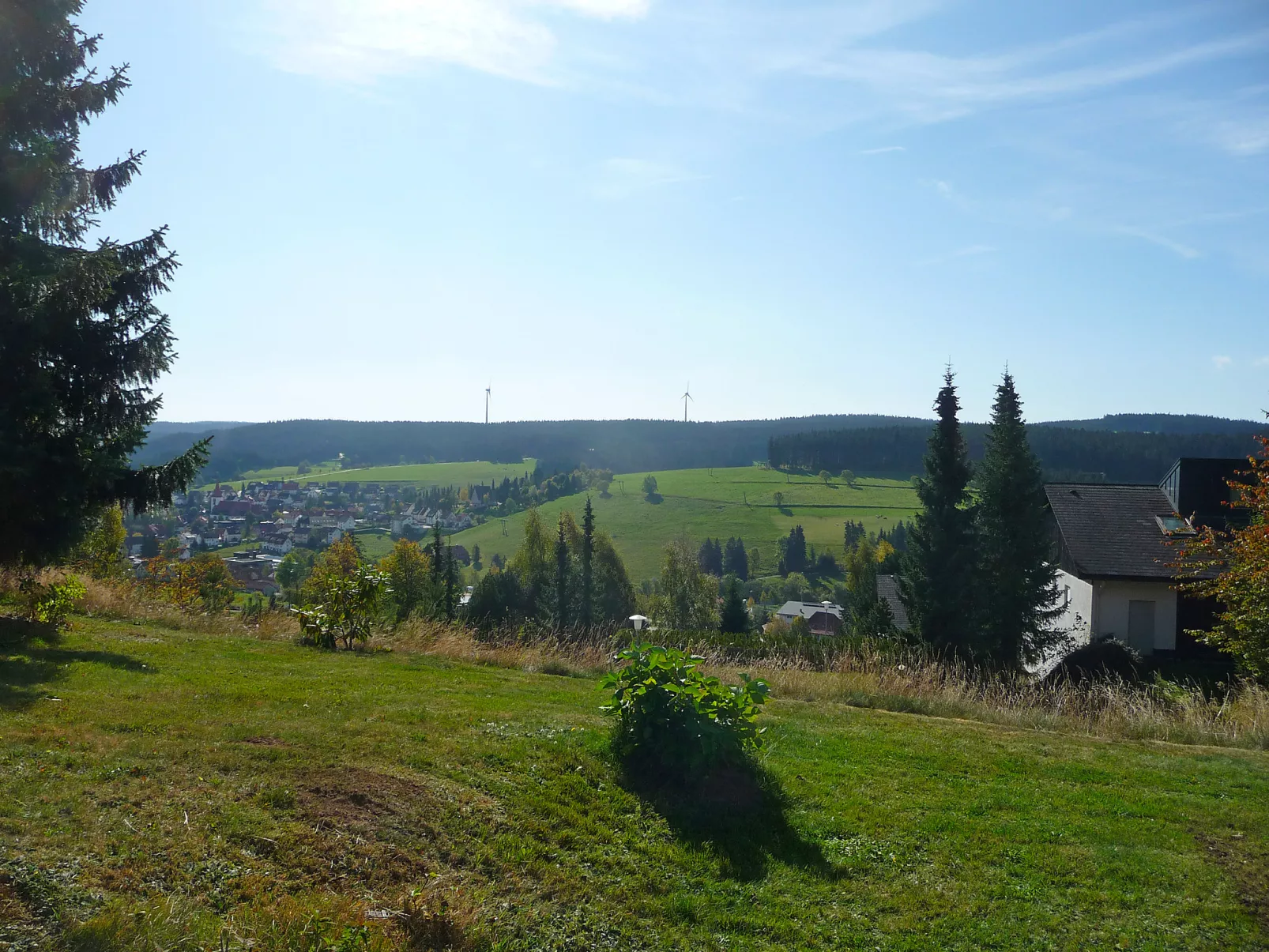 Schwarzwaldblick-Draußen