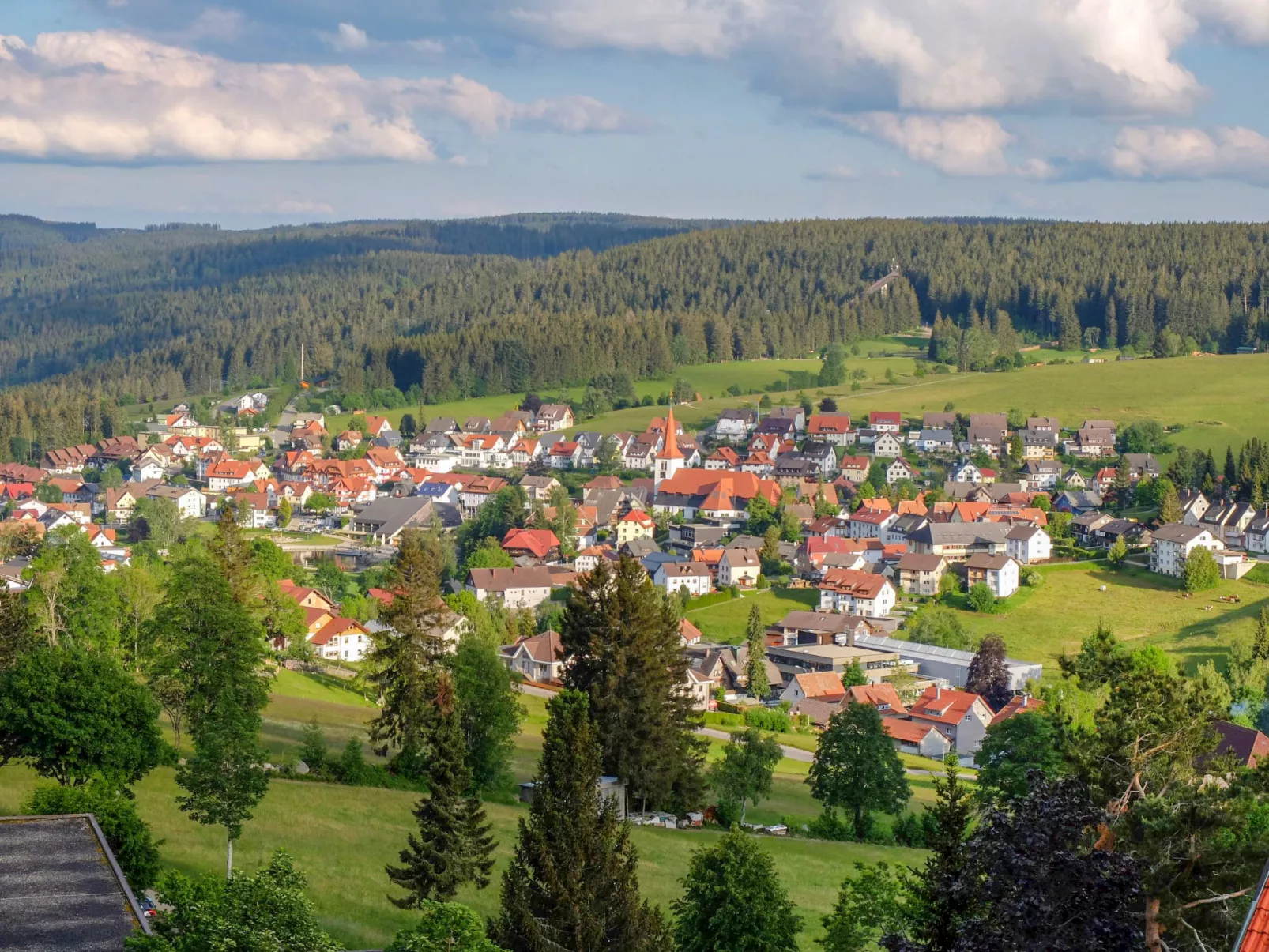 Schwarzwaldblick-Draußen