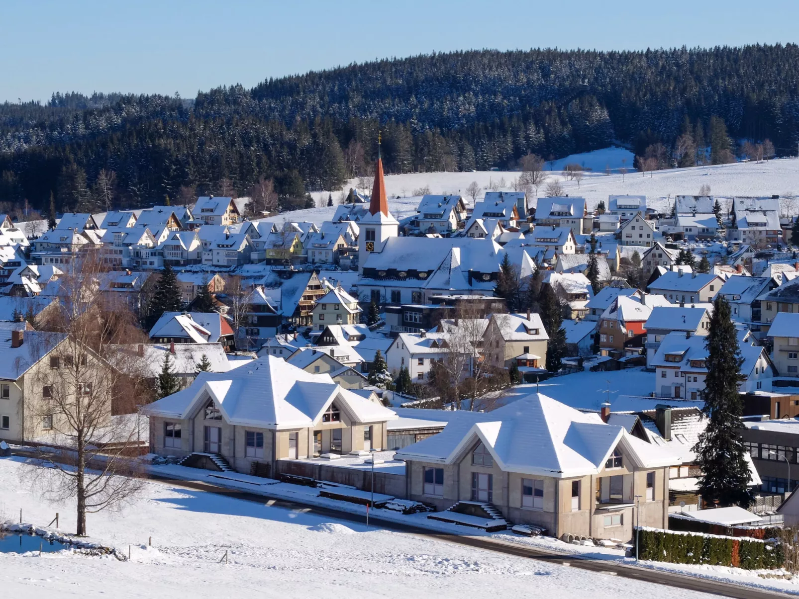 Schwarzwaldblick-Draußen