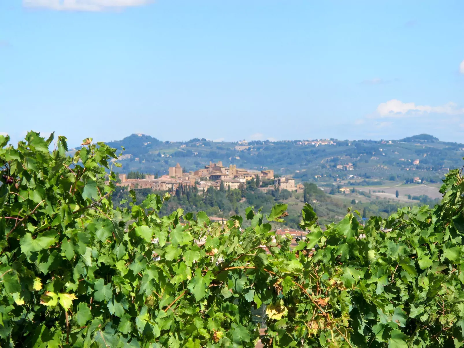 Il Casolarino-Area