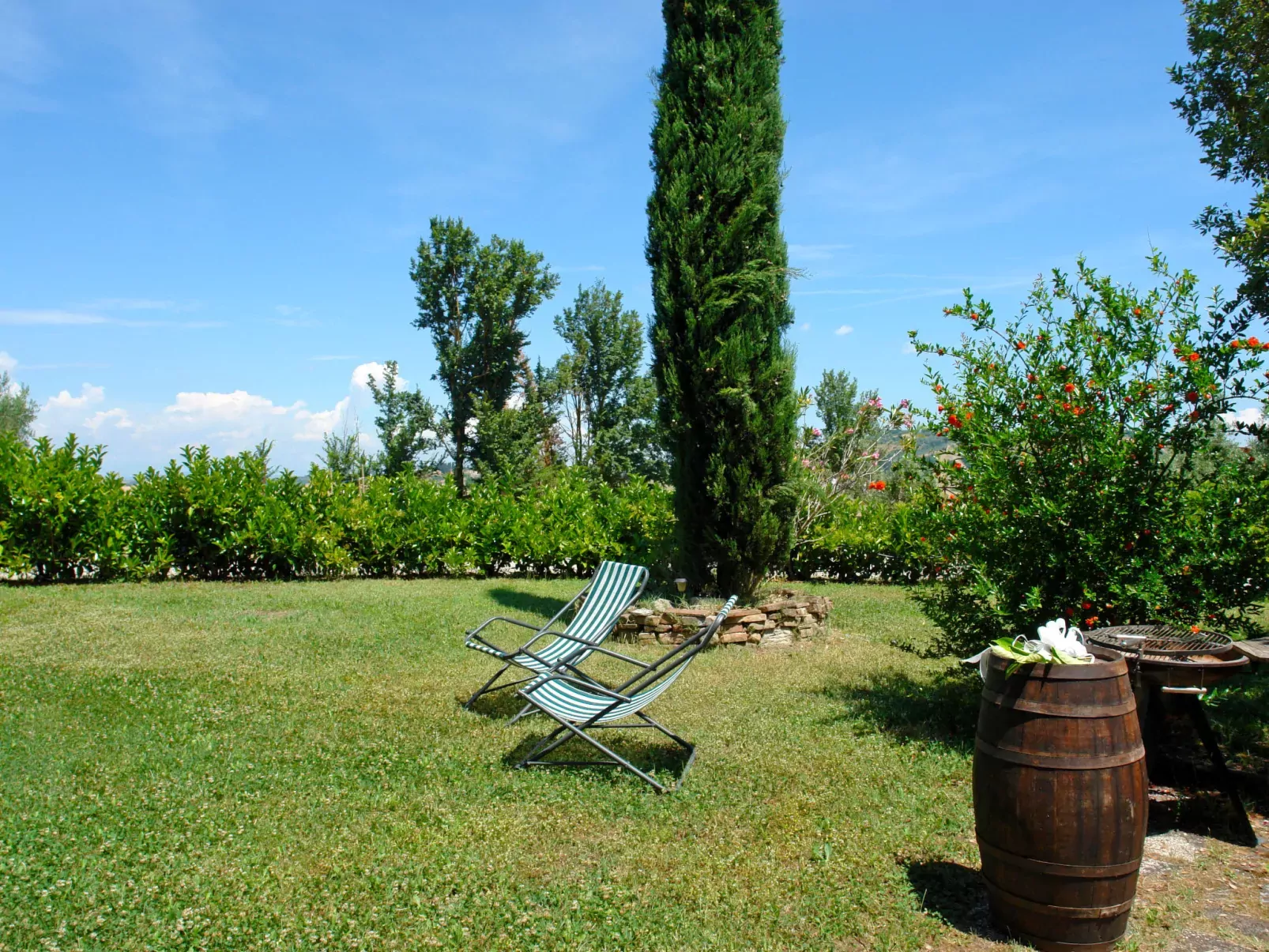 Podere La Torre-Outside