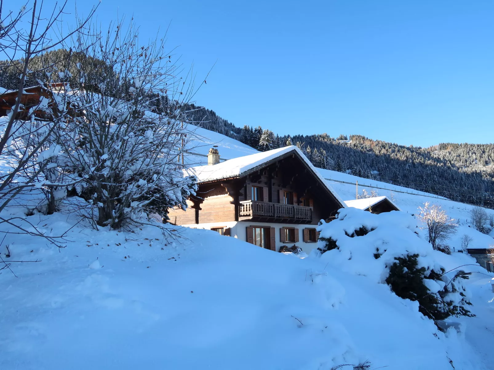 Chalet Seravalle-Outside