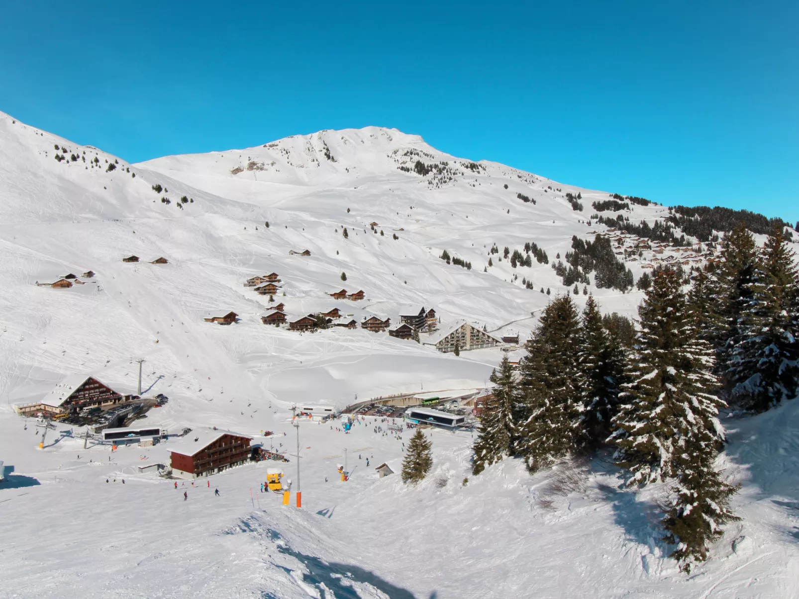 Chalet Seravalle-Area