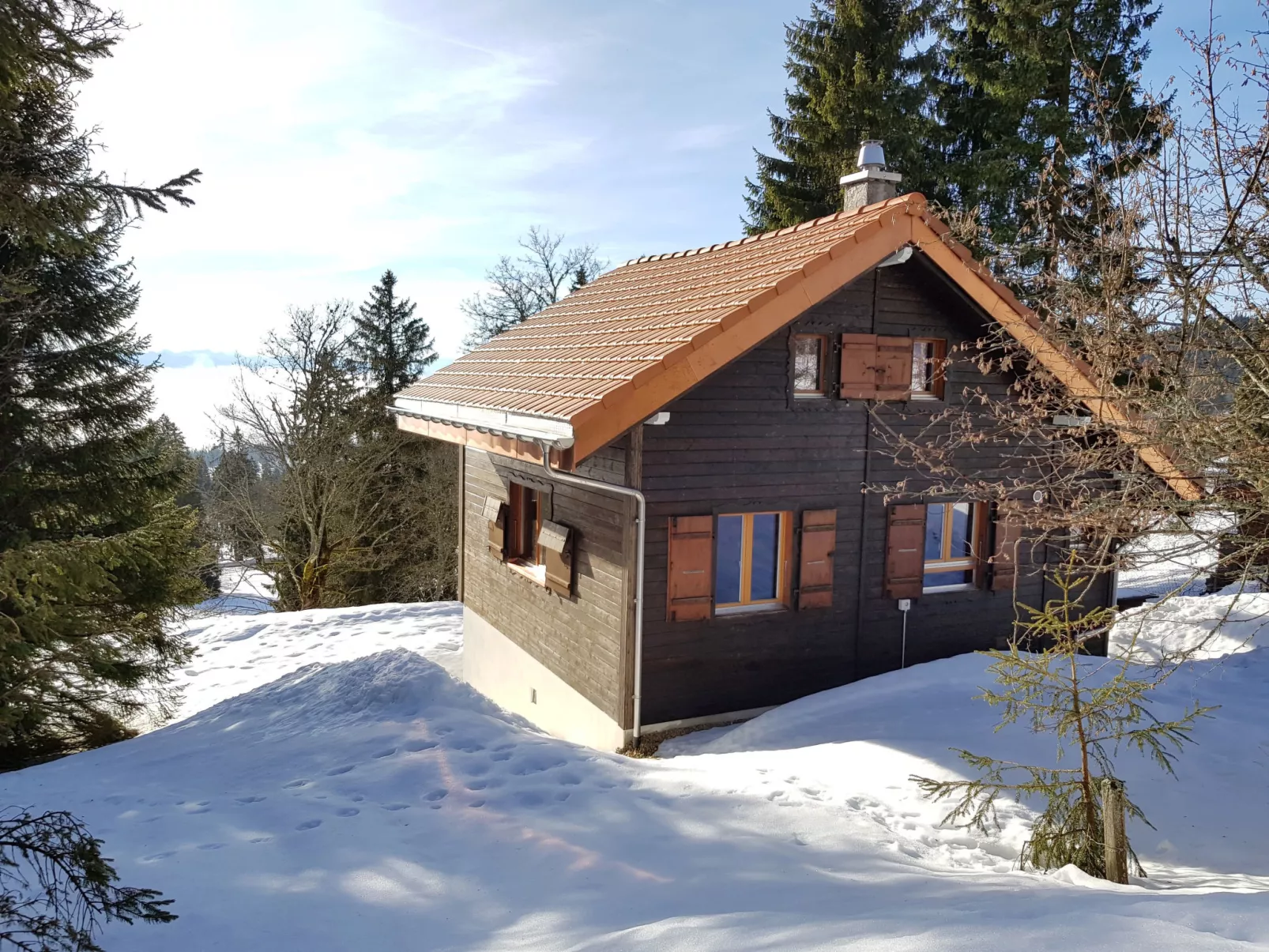 Chalet de la Vue des Alpes-Draußen