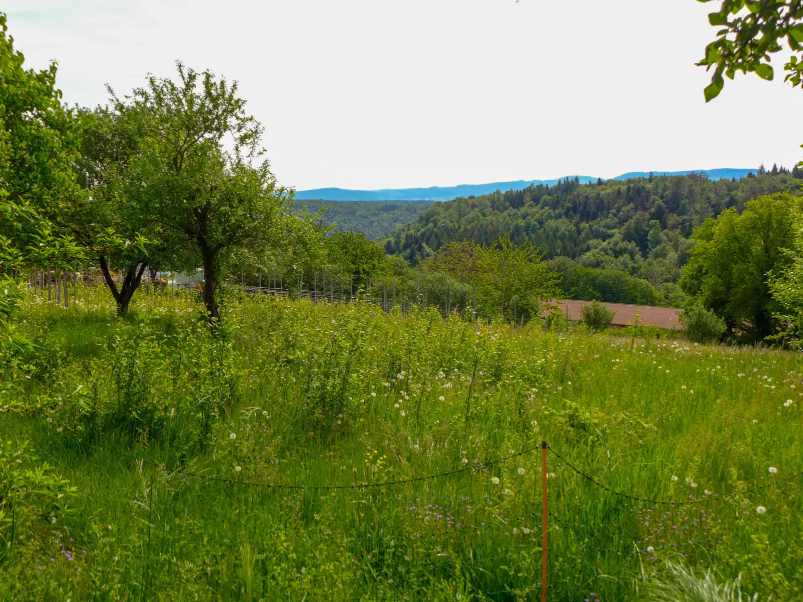 Hügli-Outside