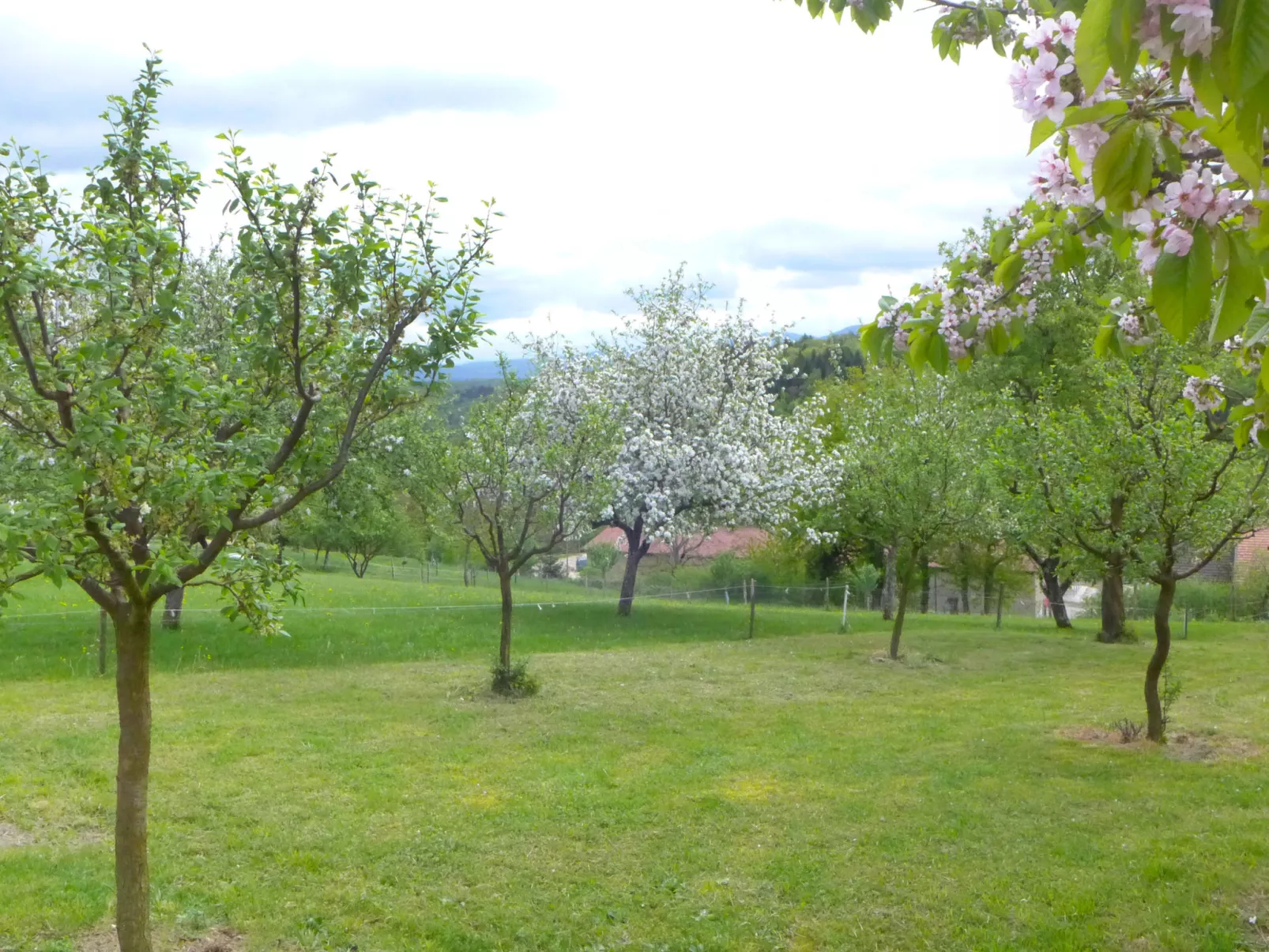 Hügli-Outside
