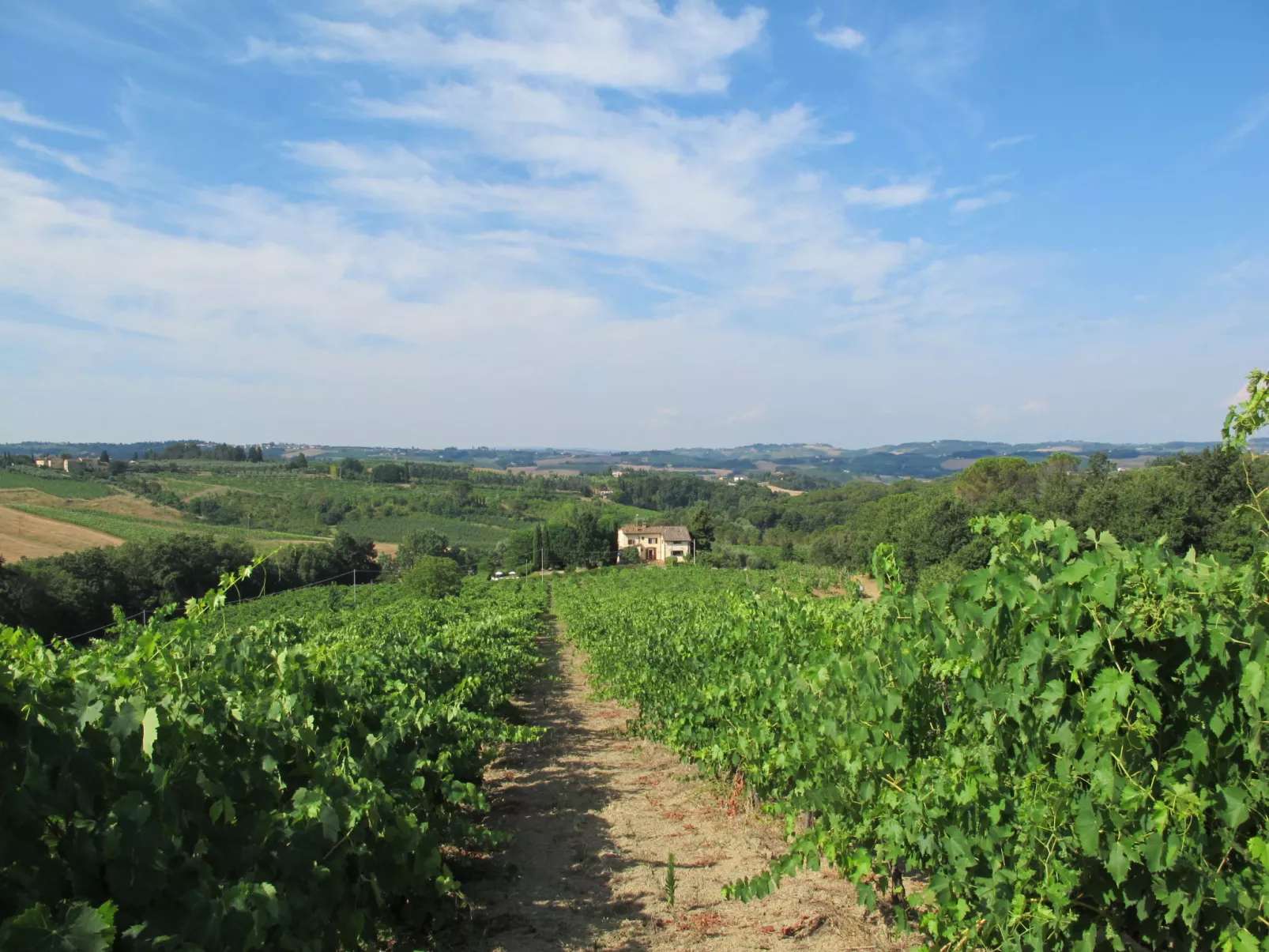 Villa Magna + Dependance-Outside