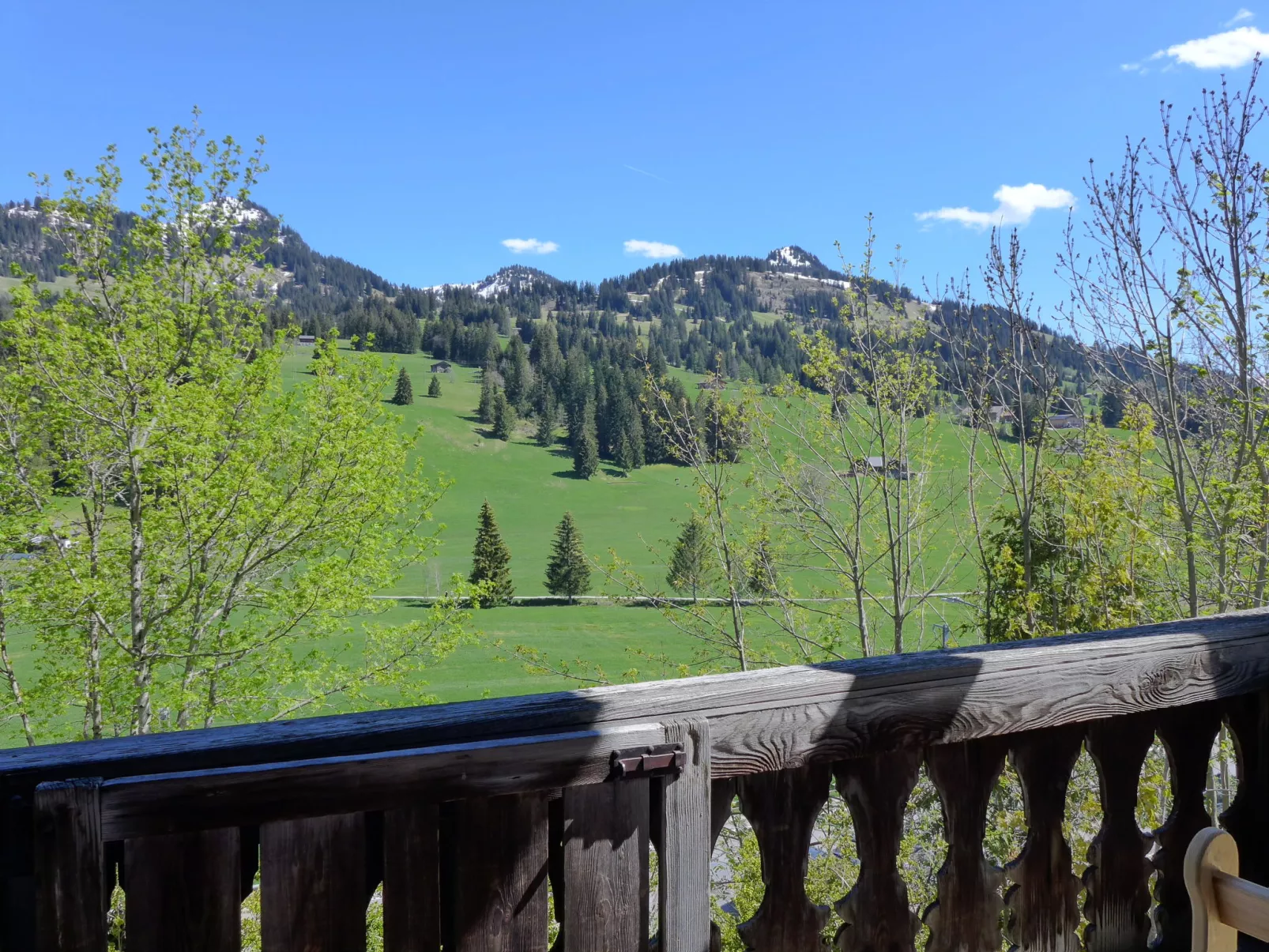 Chalet Ahorni-Outside