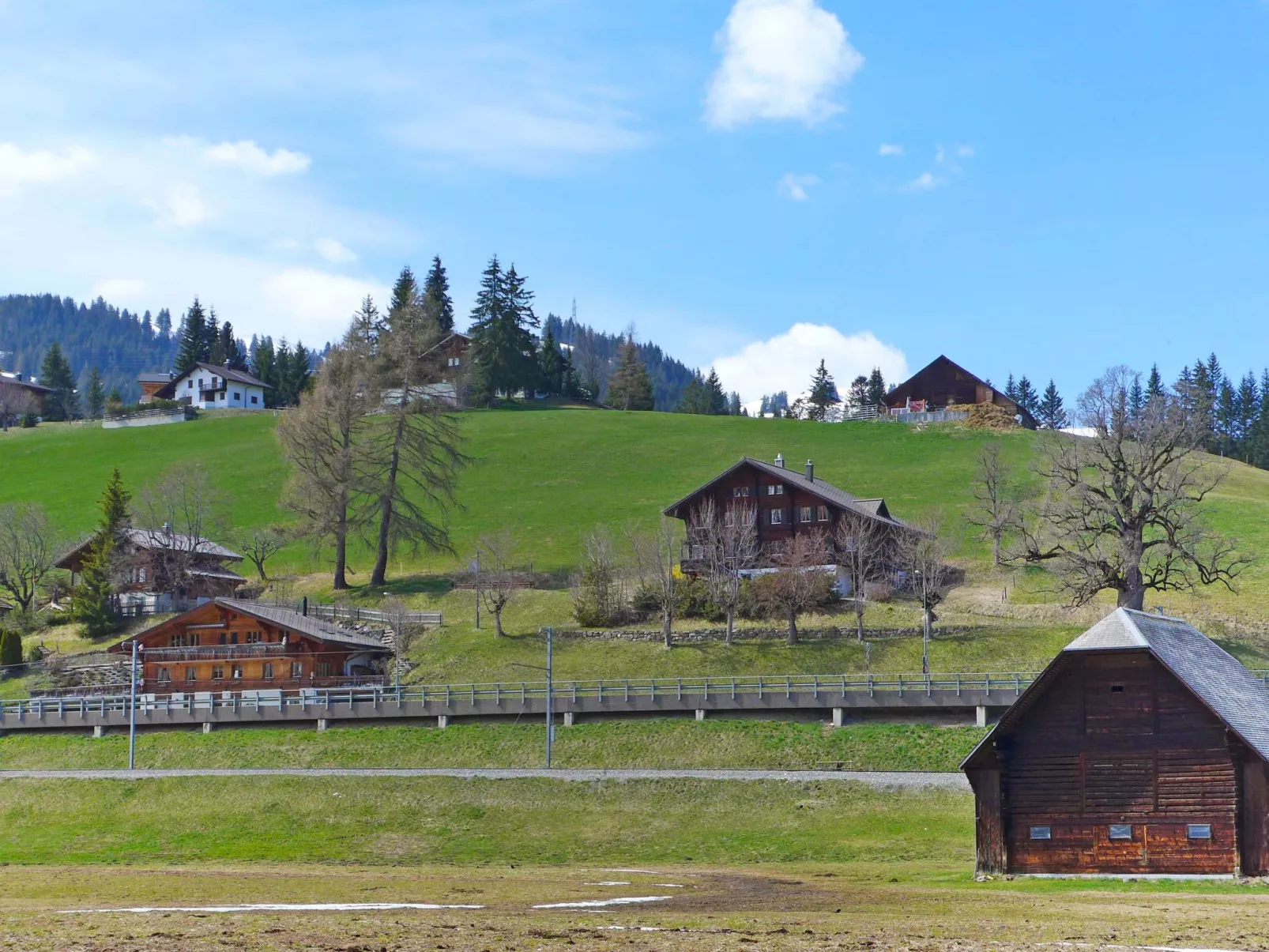 Chalet Ahorni-Outside