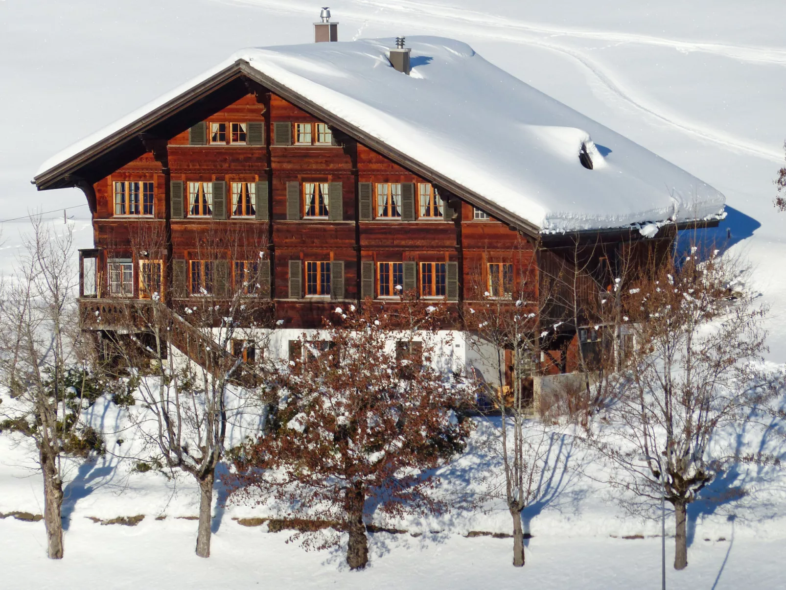 Chalet Ahorni-Outside