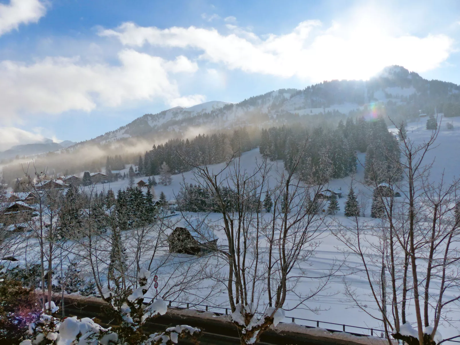 Chalet Ahorni-Outside