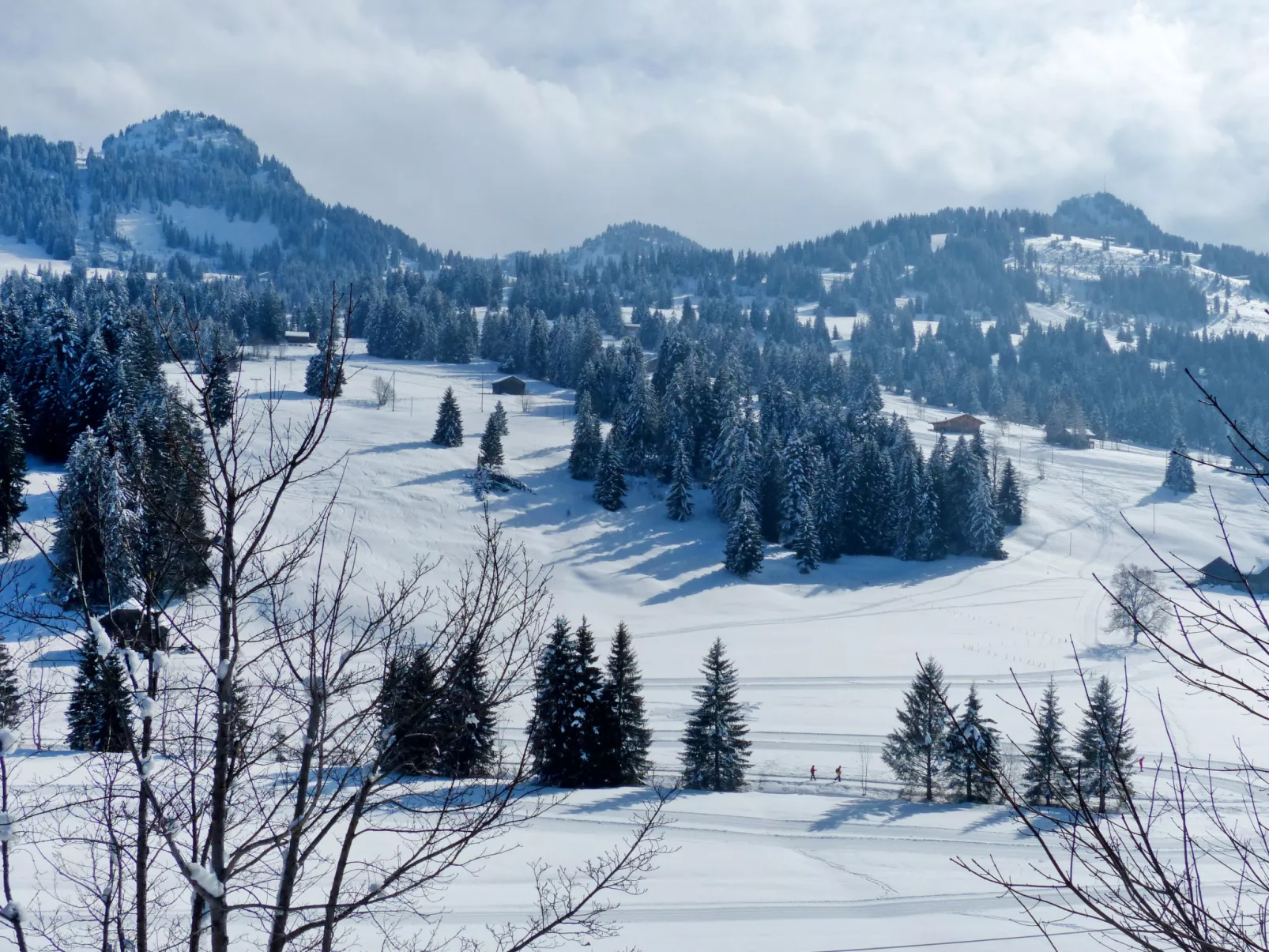 Chalet Ahorni-Outside