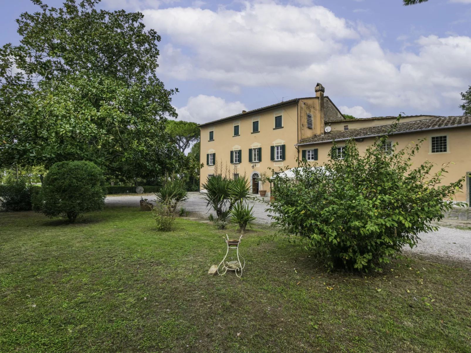 Scaletta + GIrasole-Outside