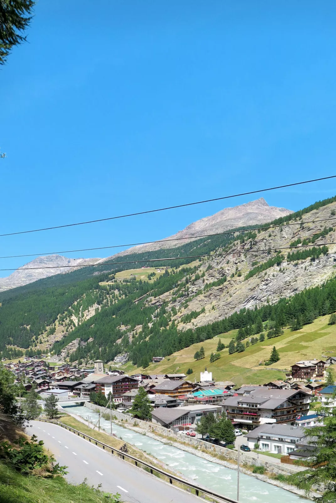 Amici-Area