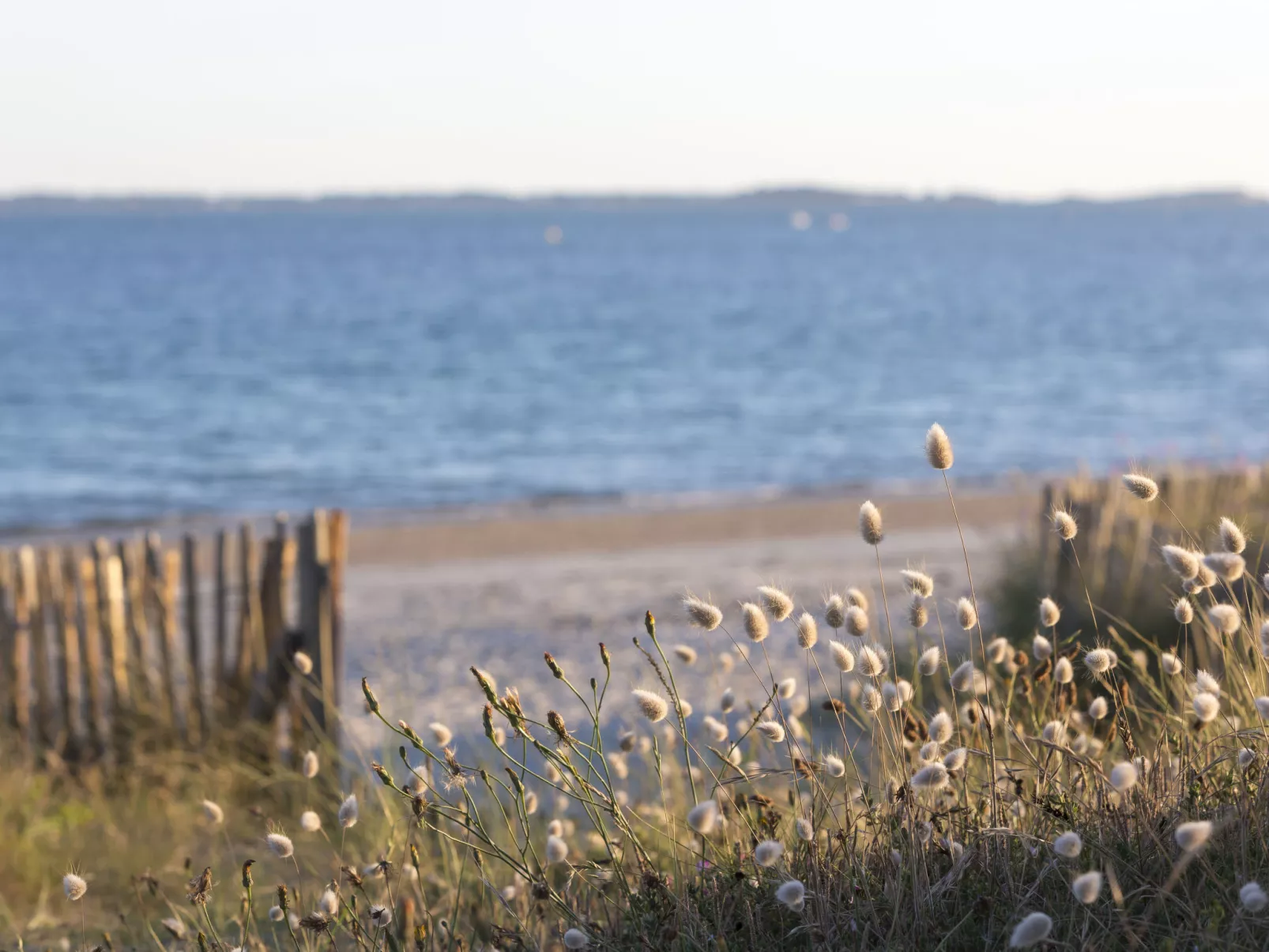 Port An Dro-Area