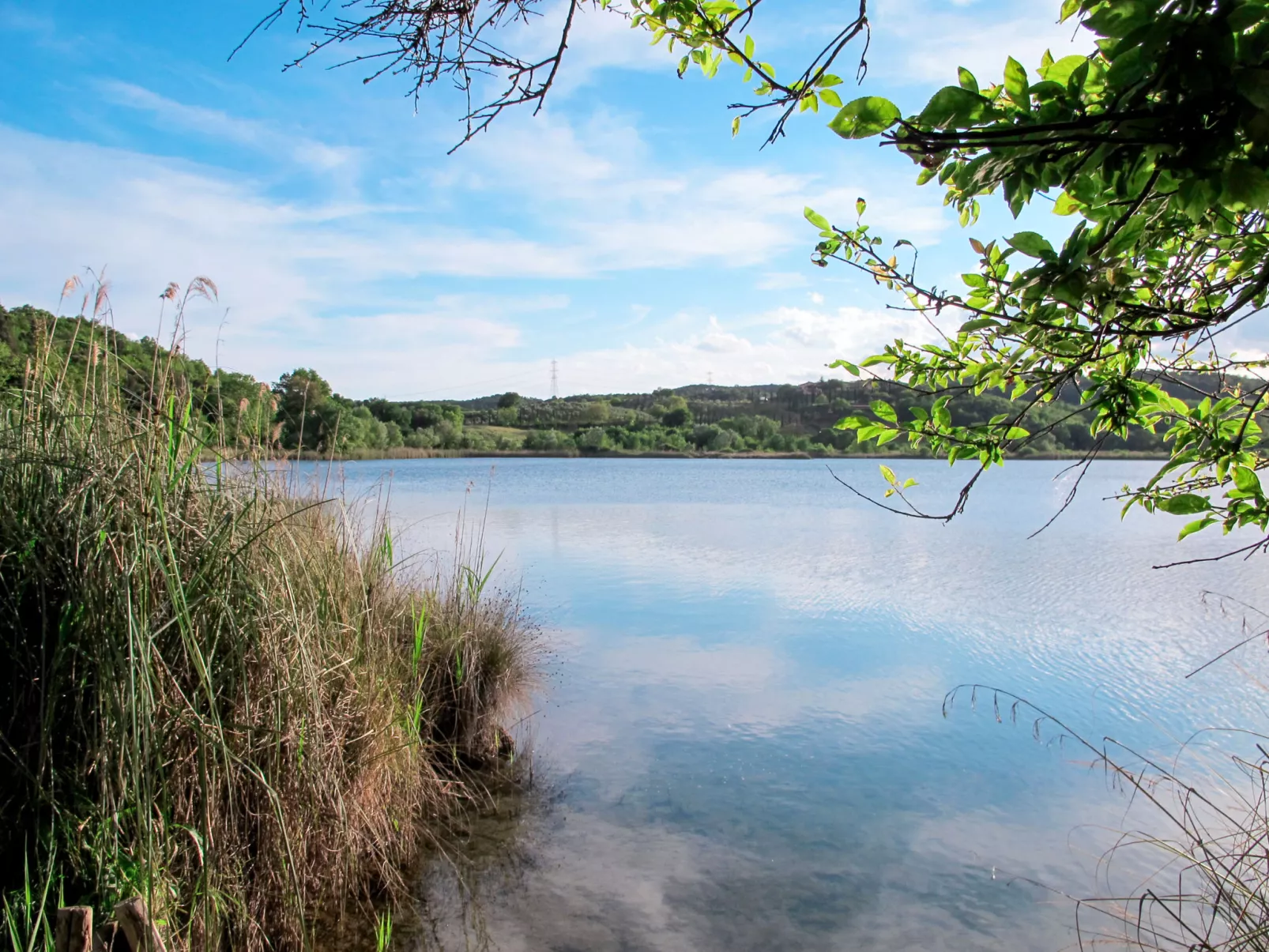 Il Lago-Area