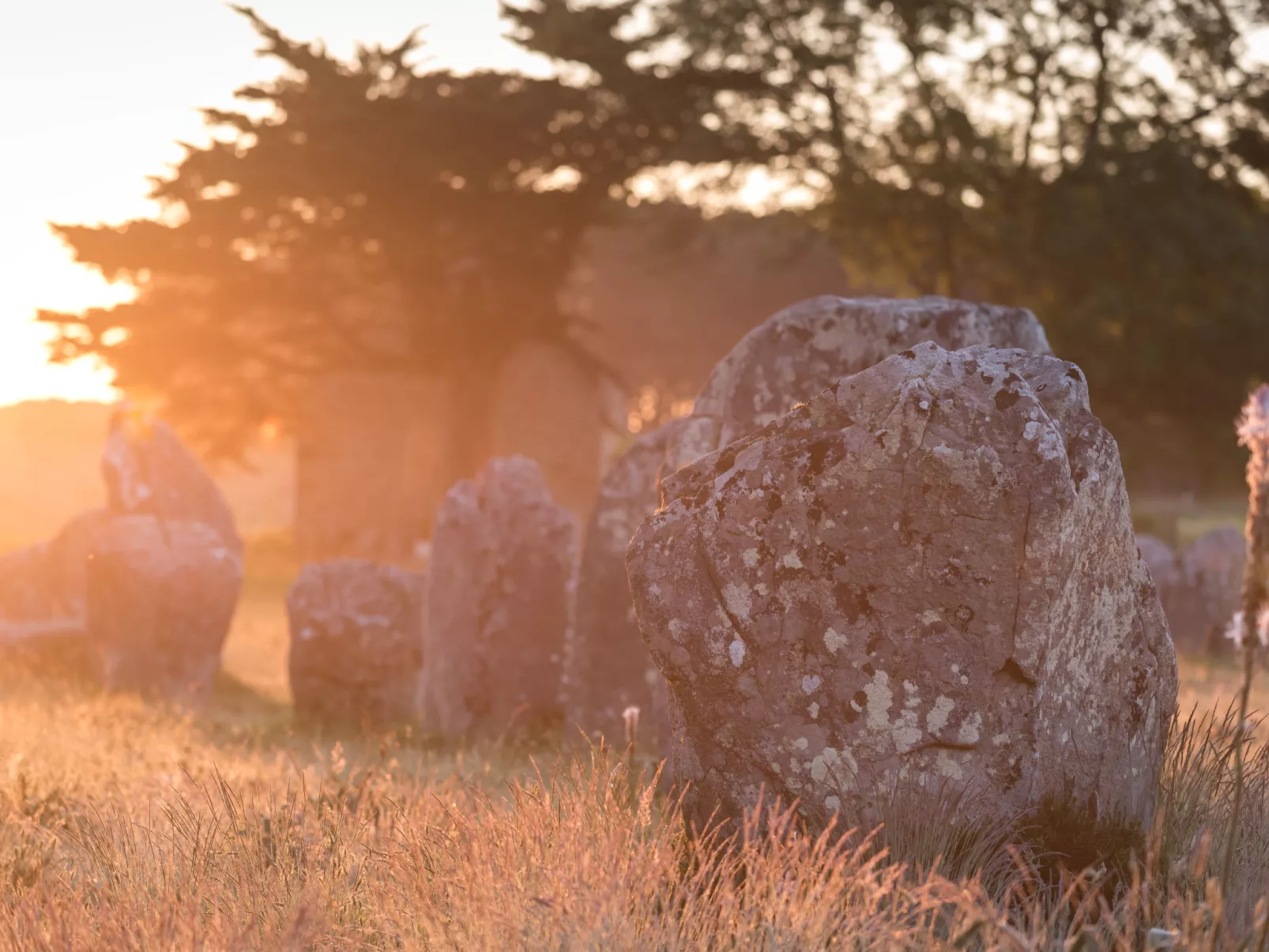 Les Reflets de Carnac-Area