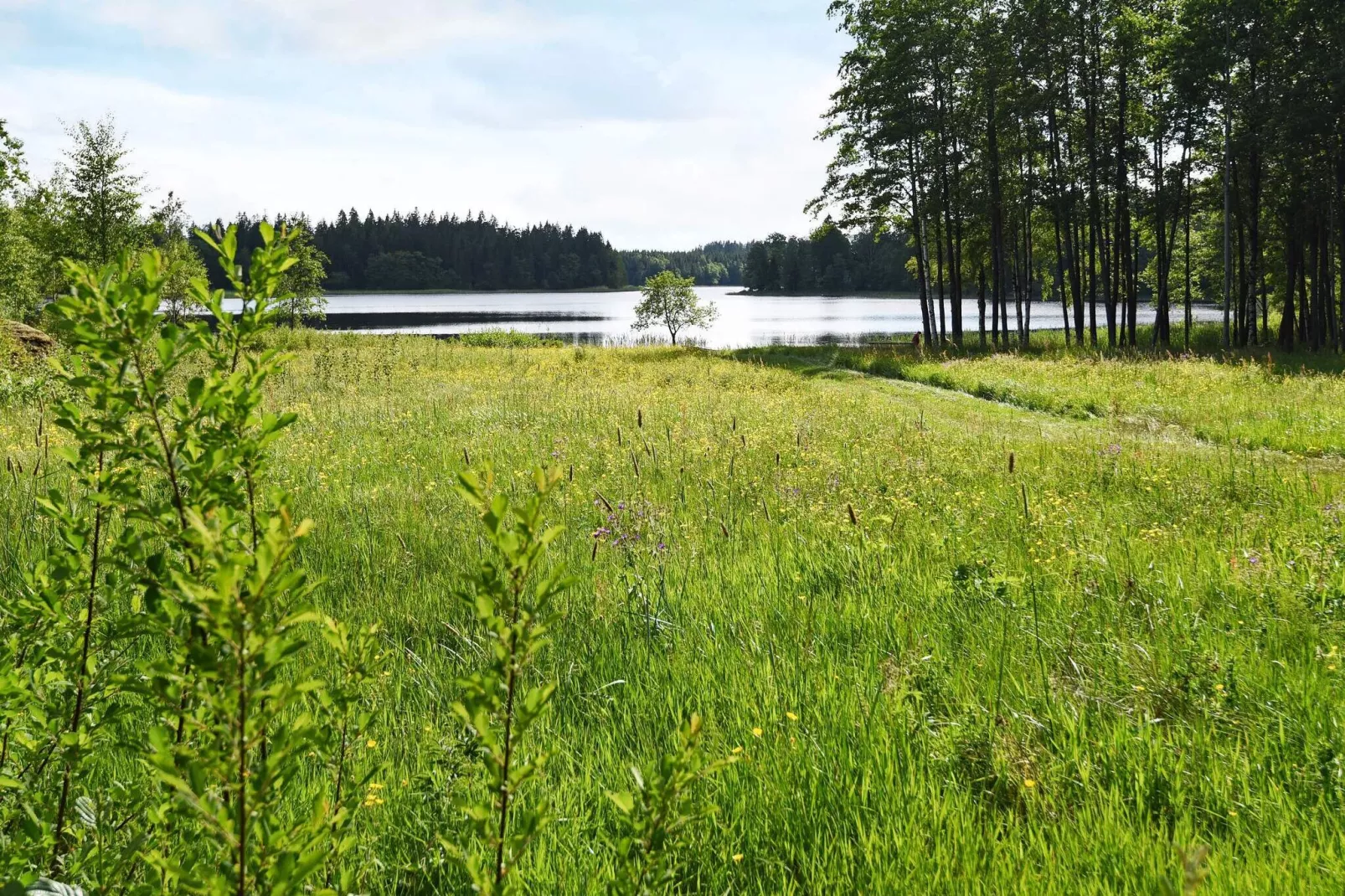 4 person holiday home in Brålanda-Not tagged