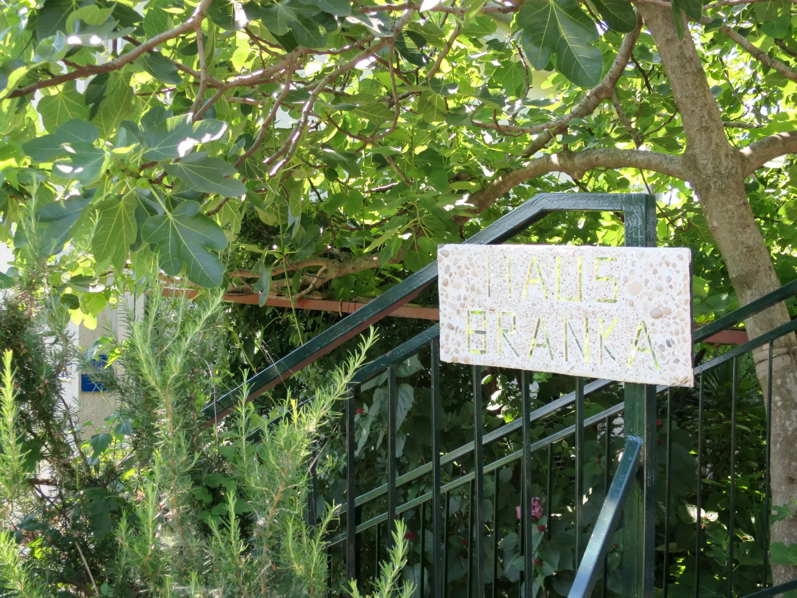 Branka-Outside