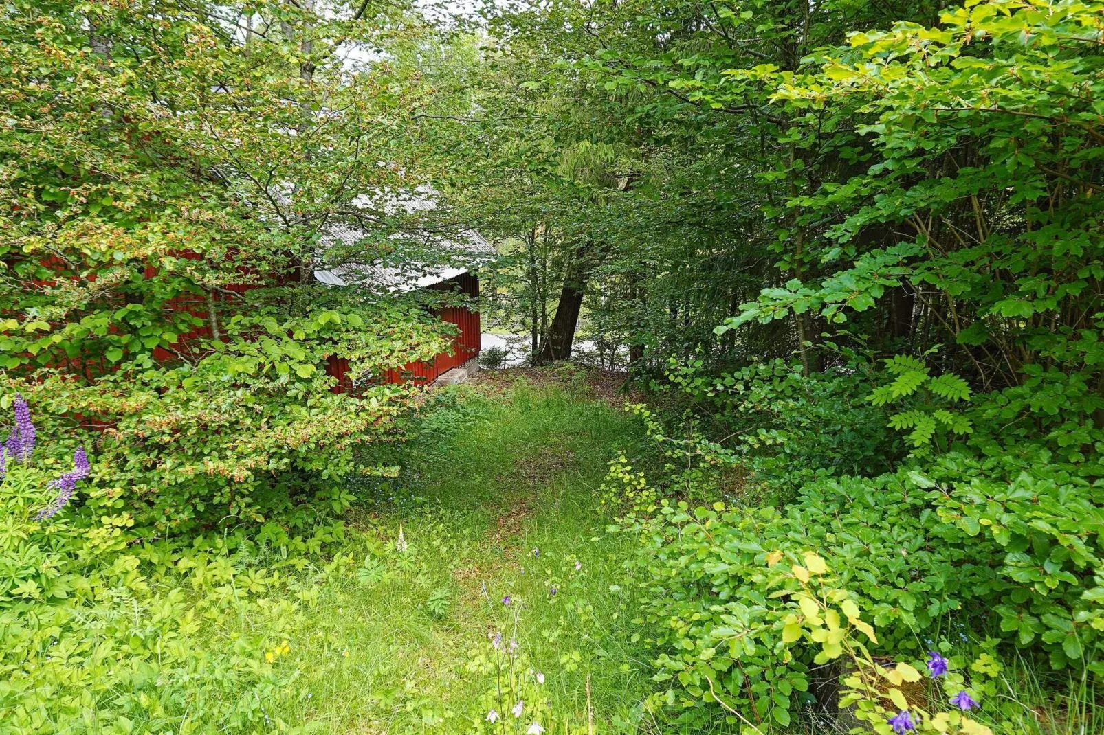 Secluded Greenery Retreat-By Traum