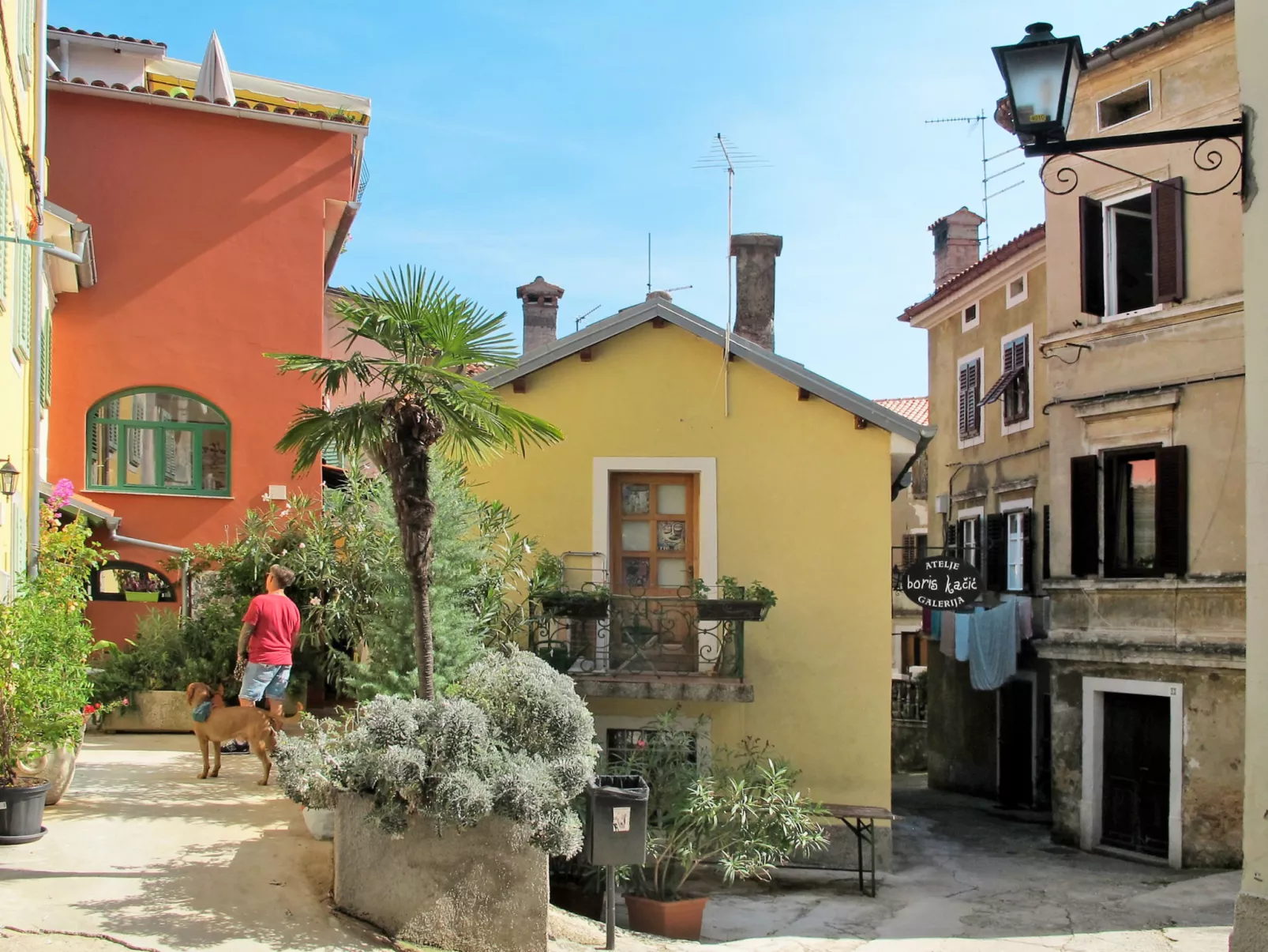 Teodora-Area