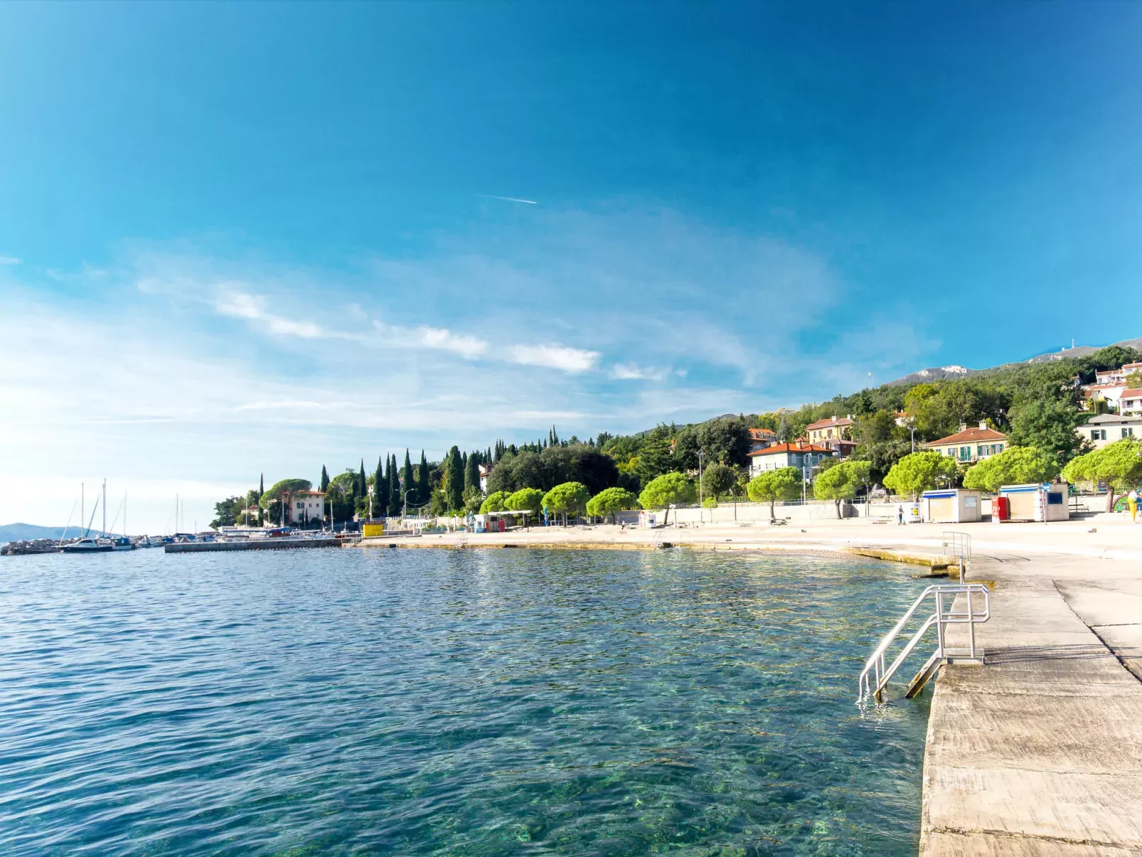 Teodora-Area