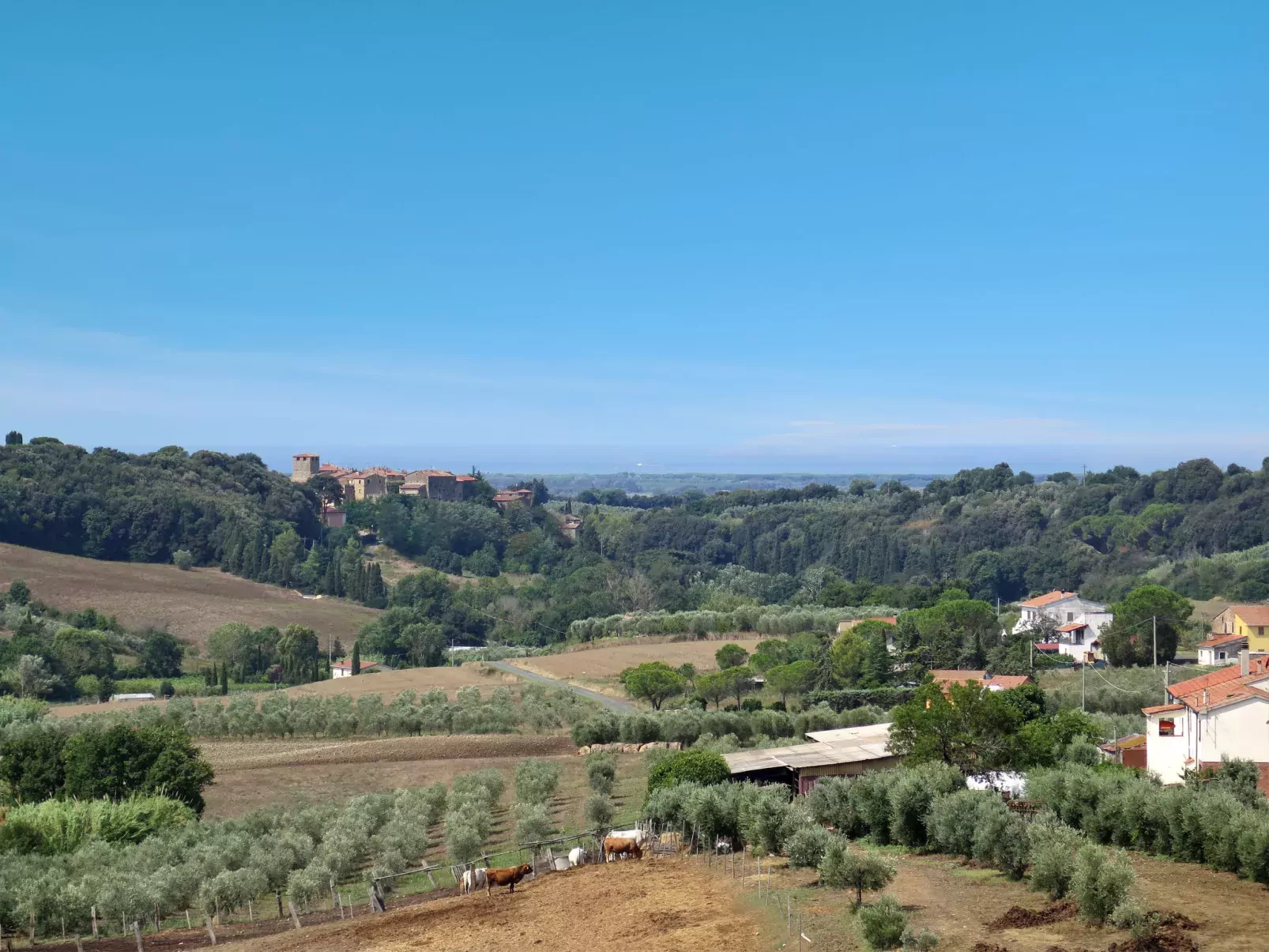Il Fienile-Area
