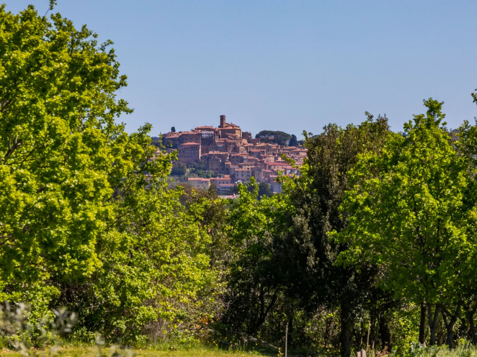 Tramontana-Dehors
