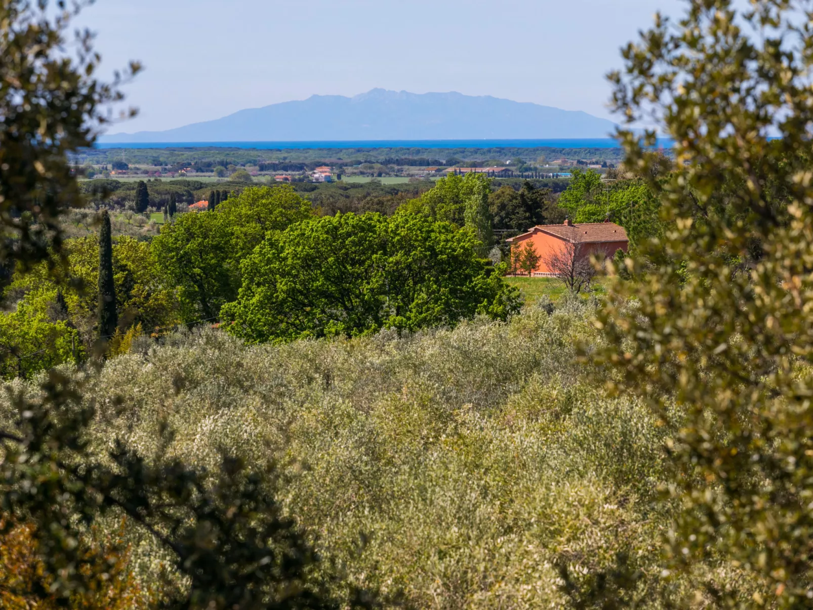 Tramontana-Dehors