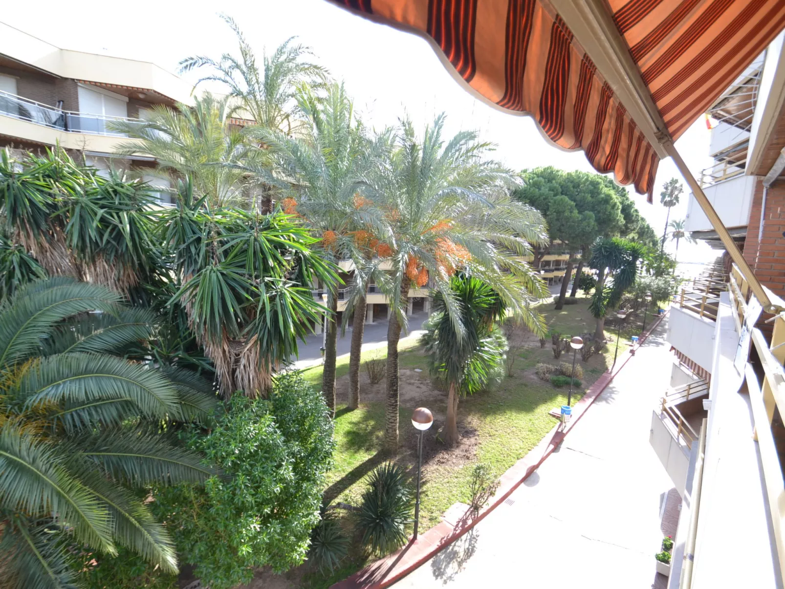 Sol España T1-Outside