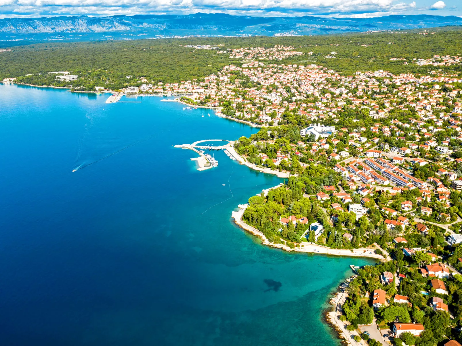 Mikac-Area
