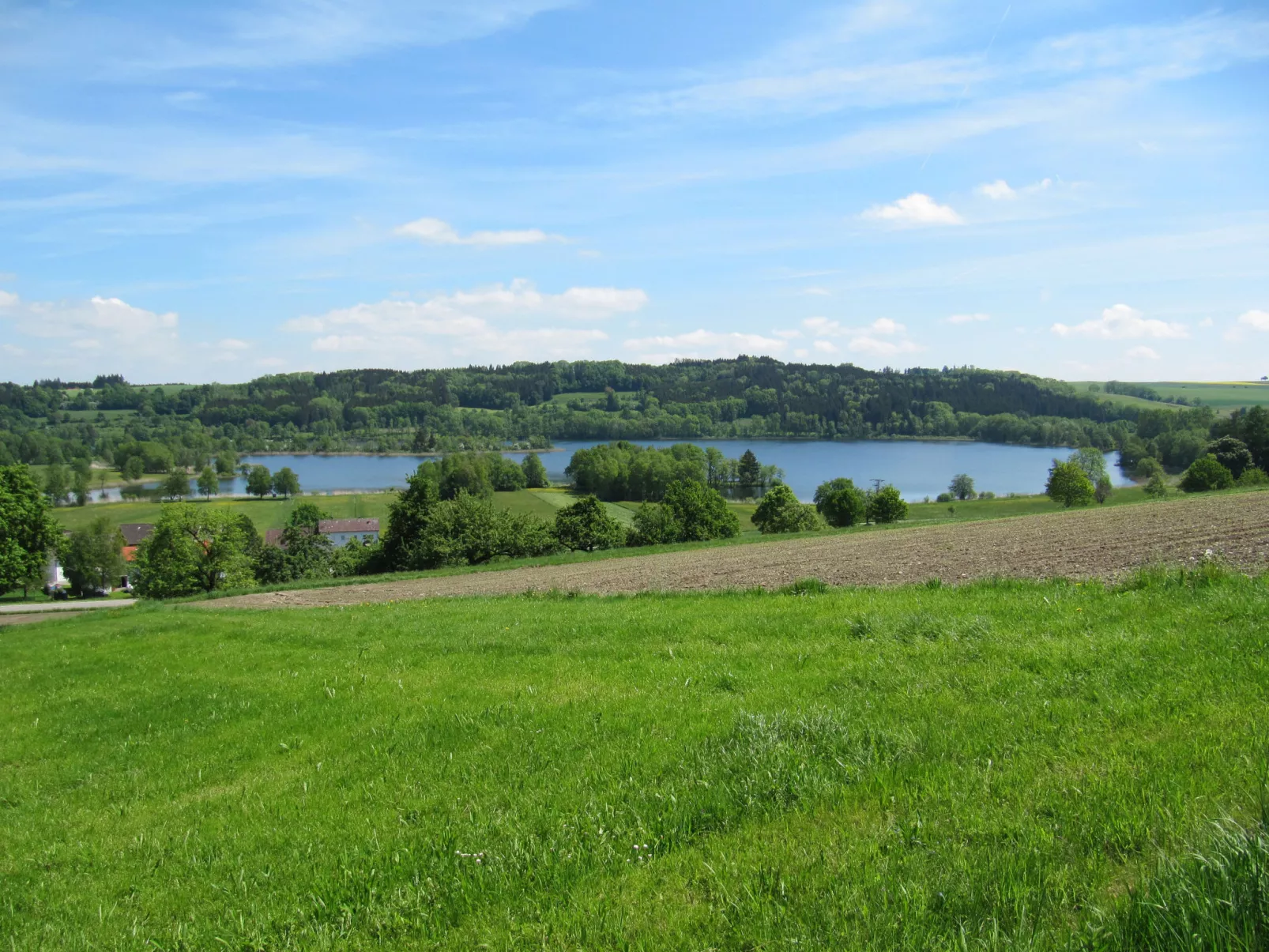 Svea-Area