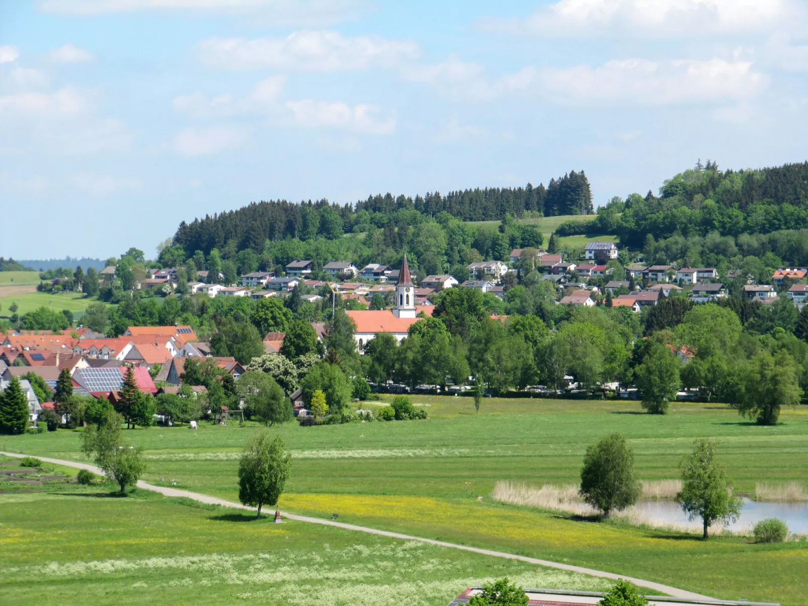 Svea-Area