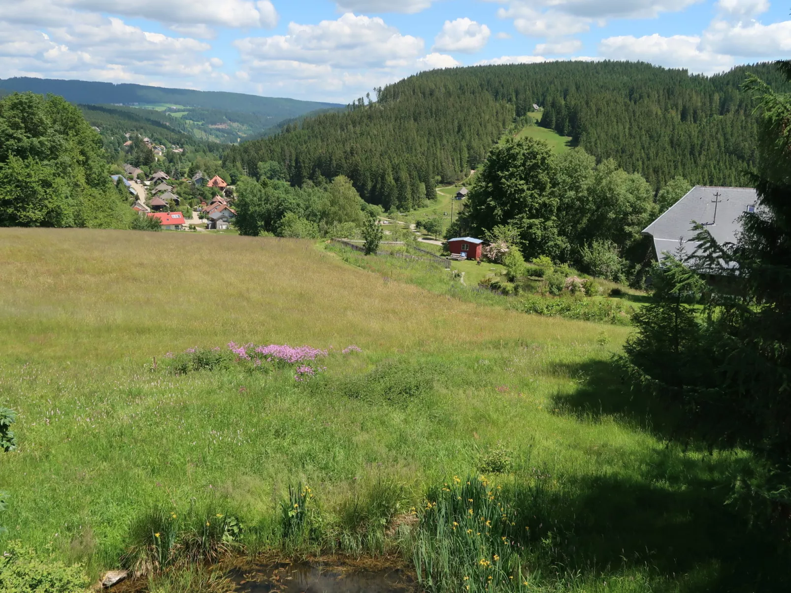 Blechnerhof-Draußen