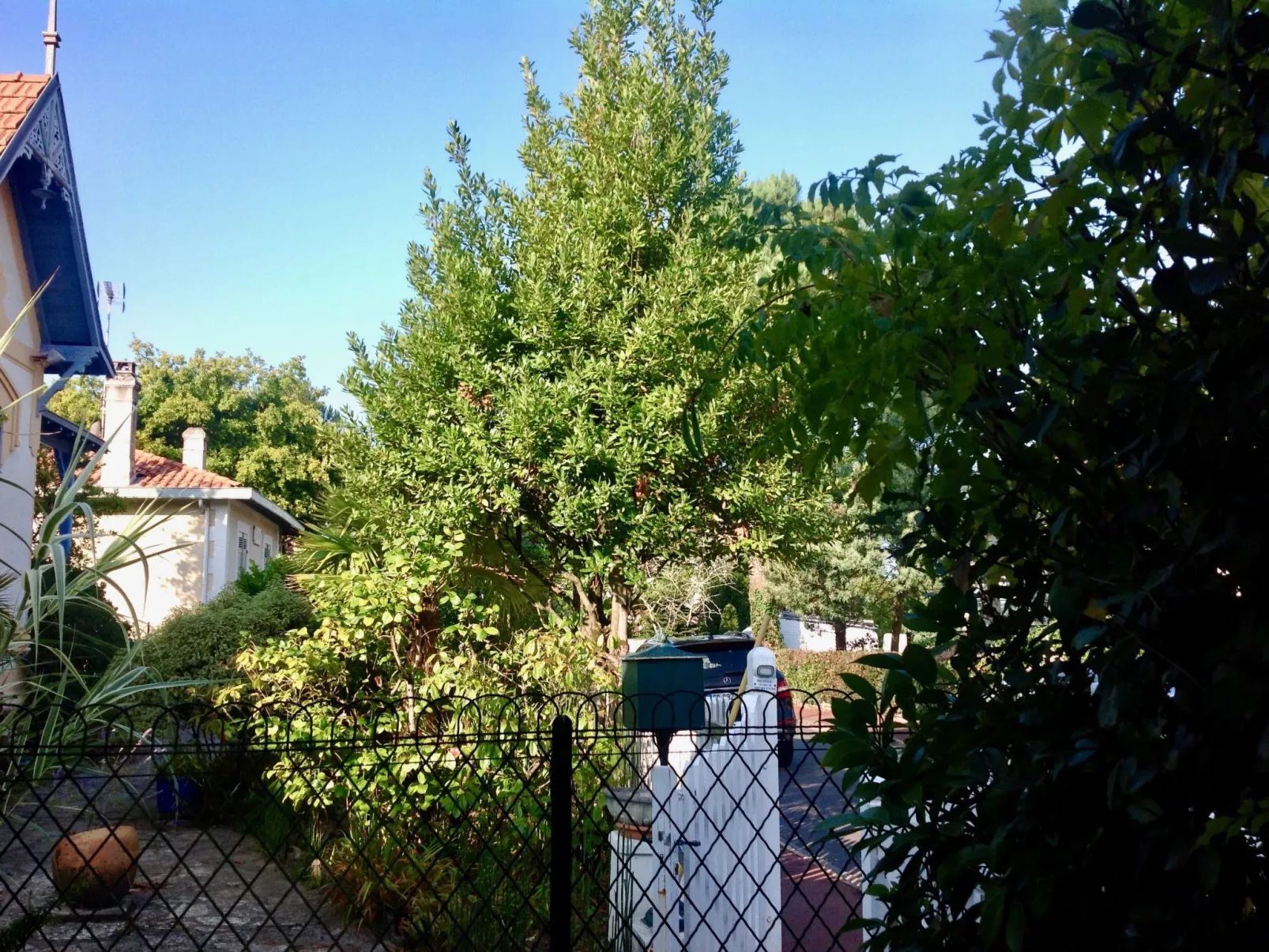 La Petite Arcachonnaise-Outside