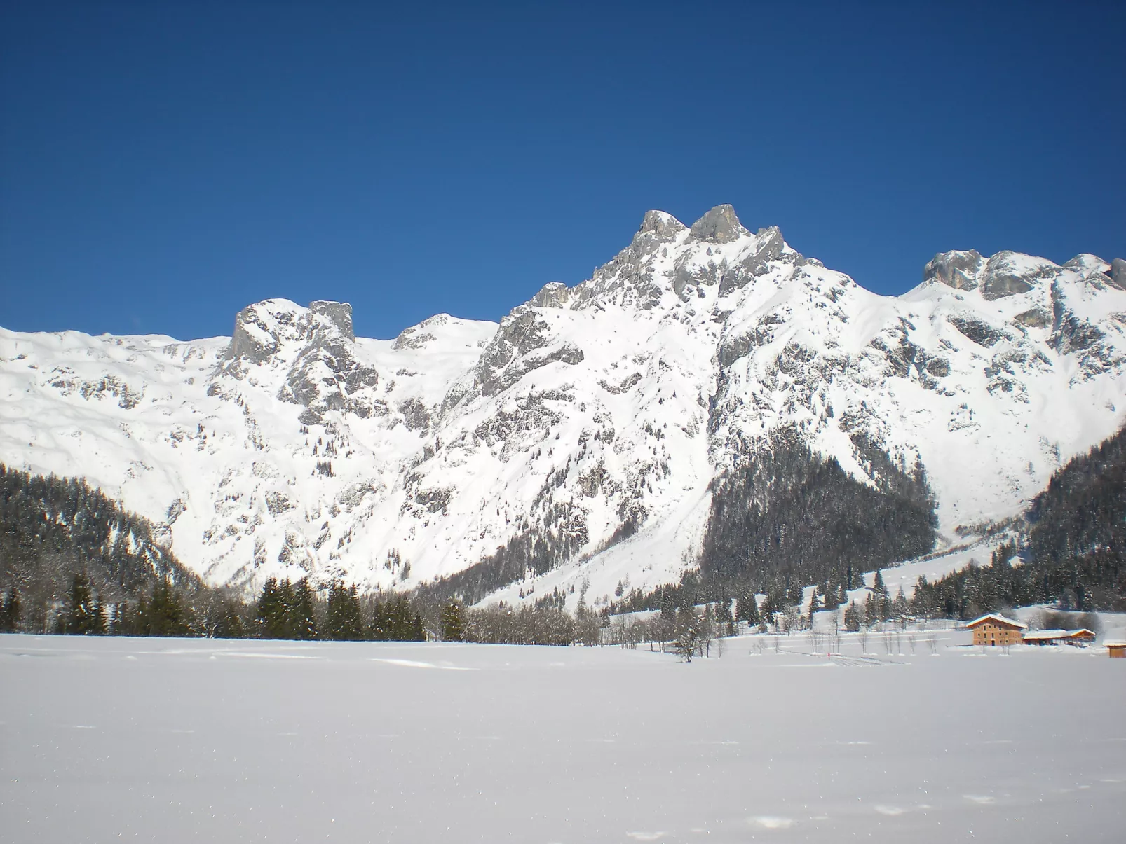 Rosi-Dehors