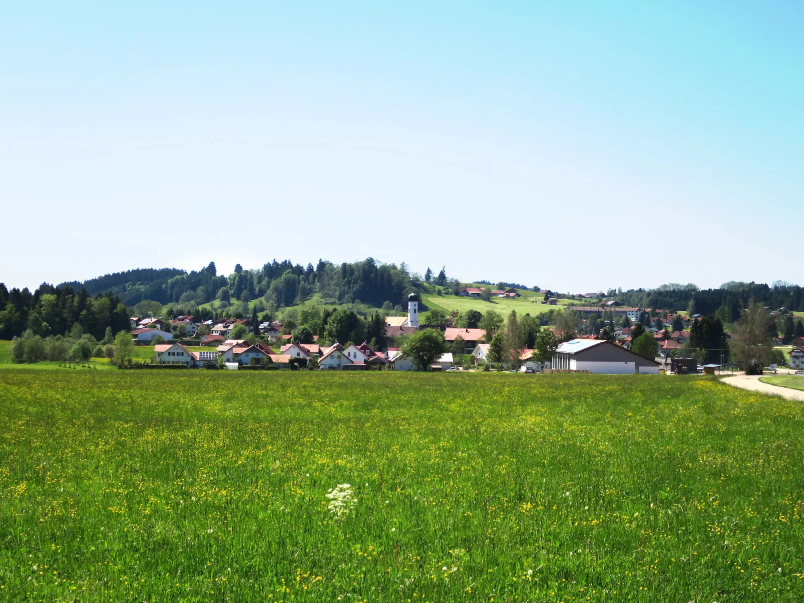 Arnika-Area