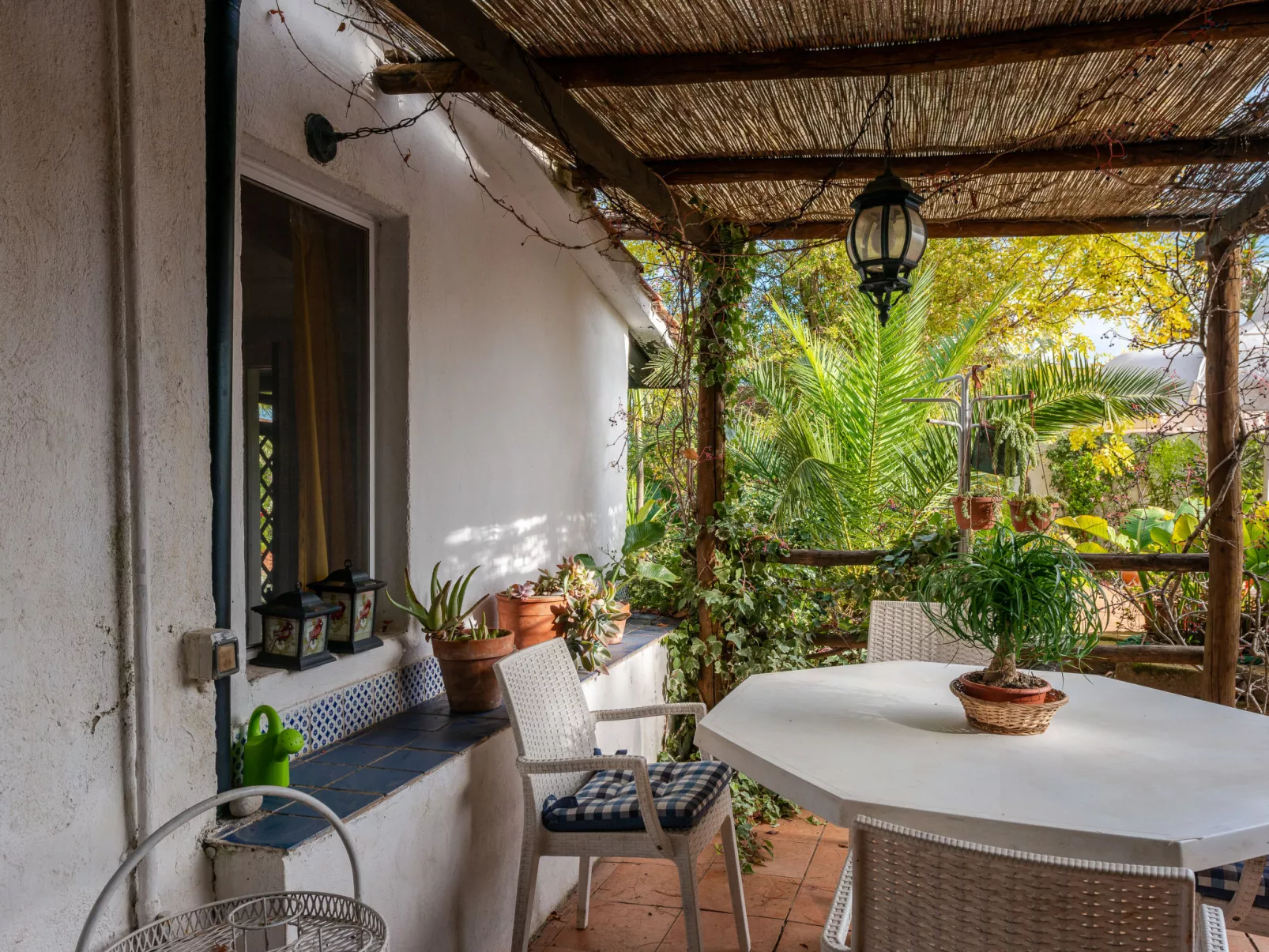 Rose Cottage-Outside