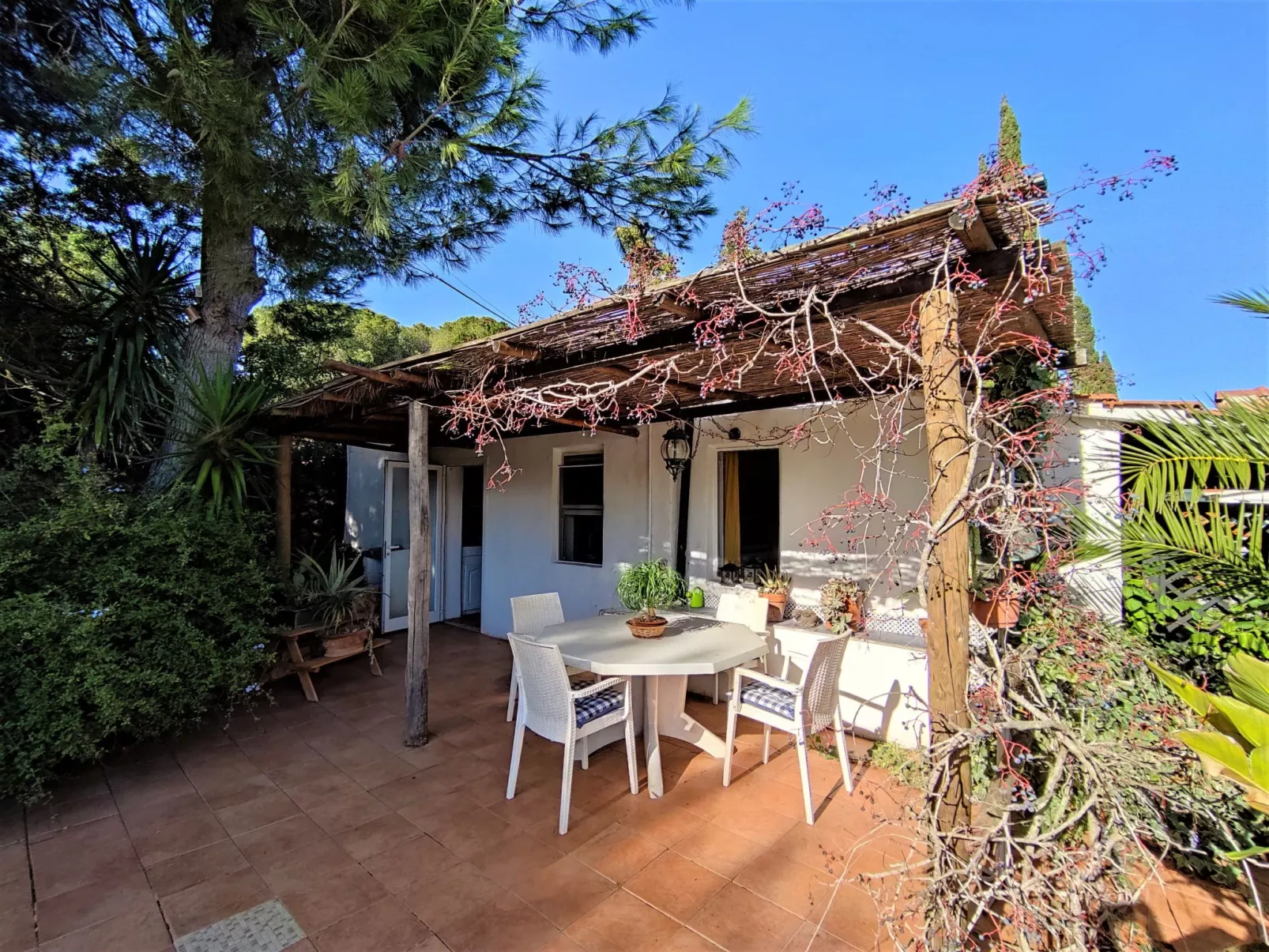 Rose Cottage-Outside