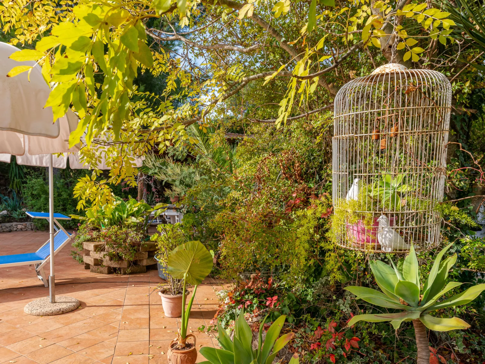 Rose Cottage-Outside