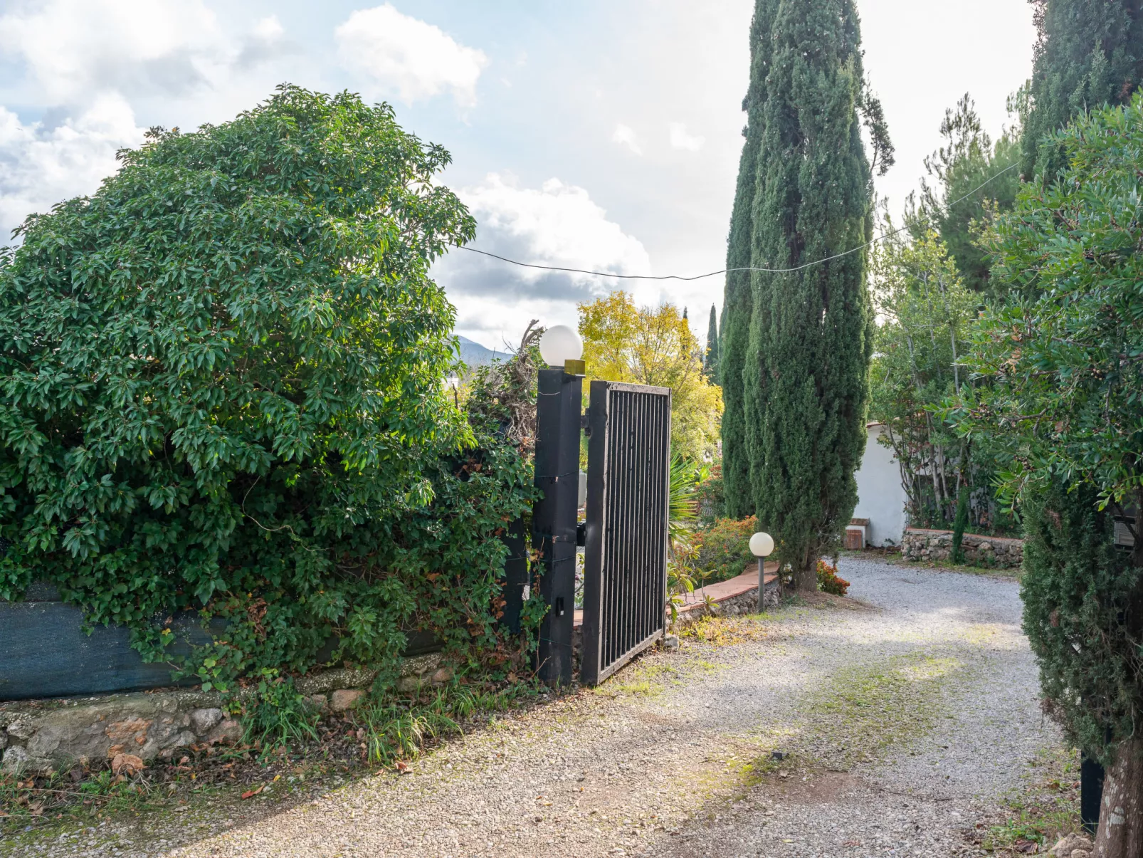 Rose Cottage-Outside