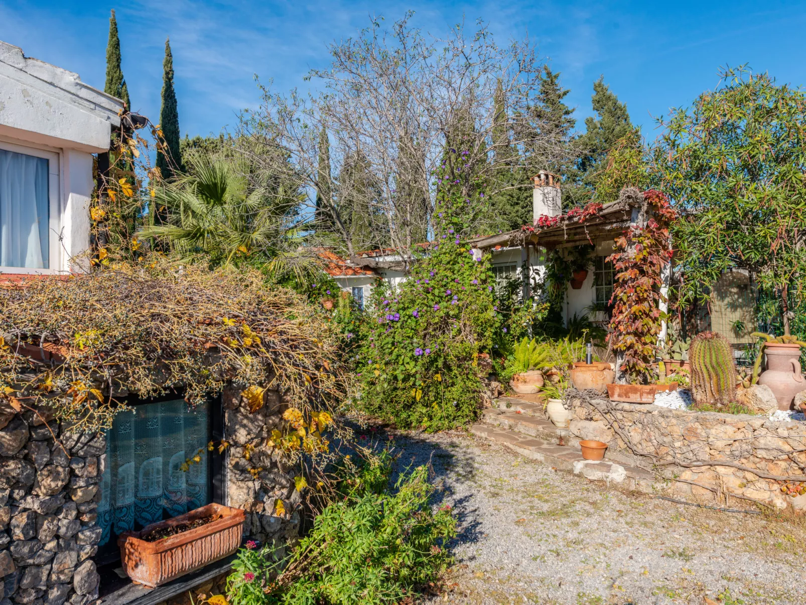 Rose Cottage-Outside