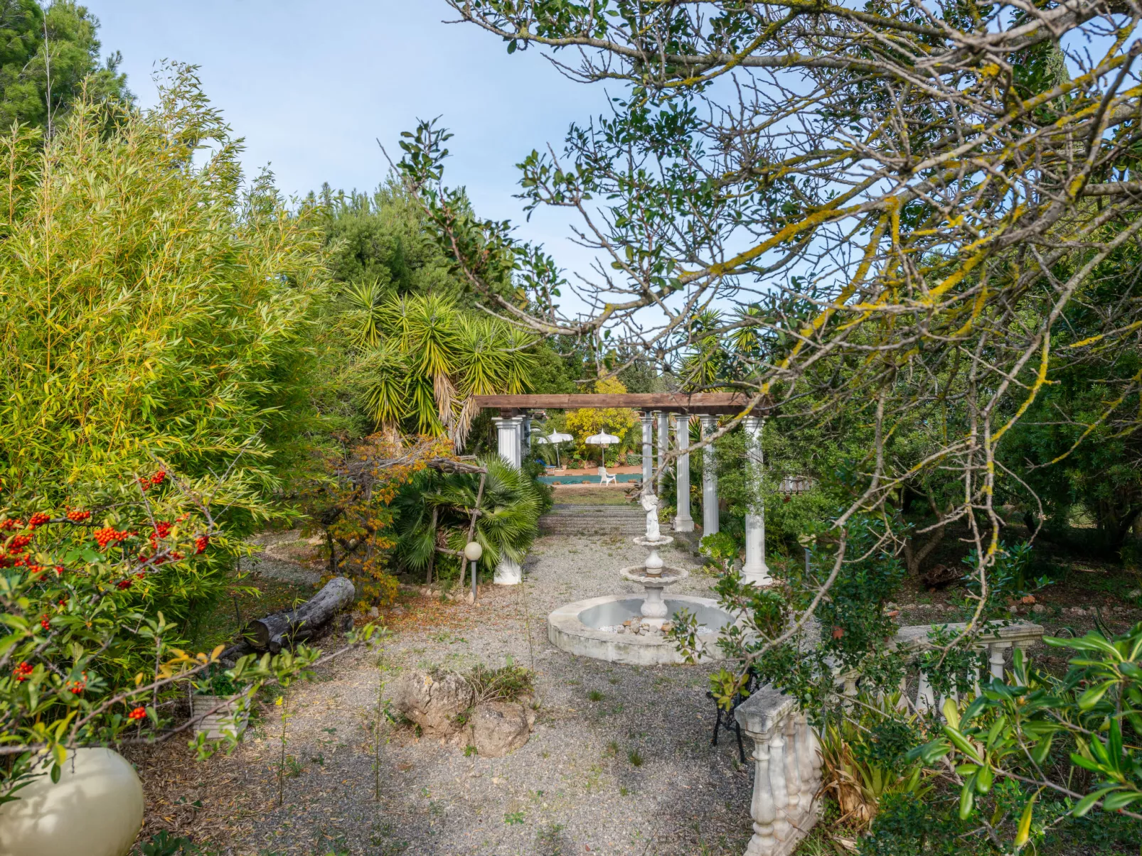 Rose Cottage-Outside