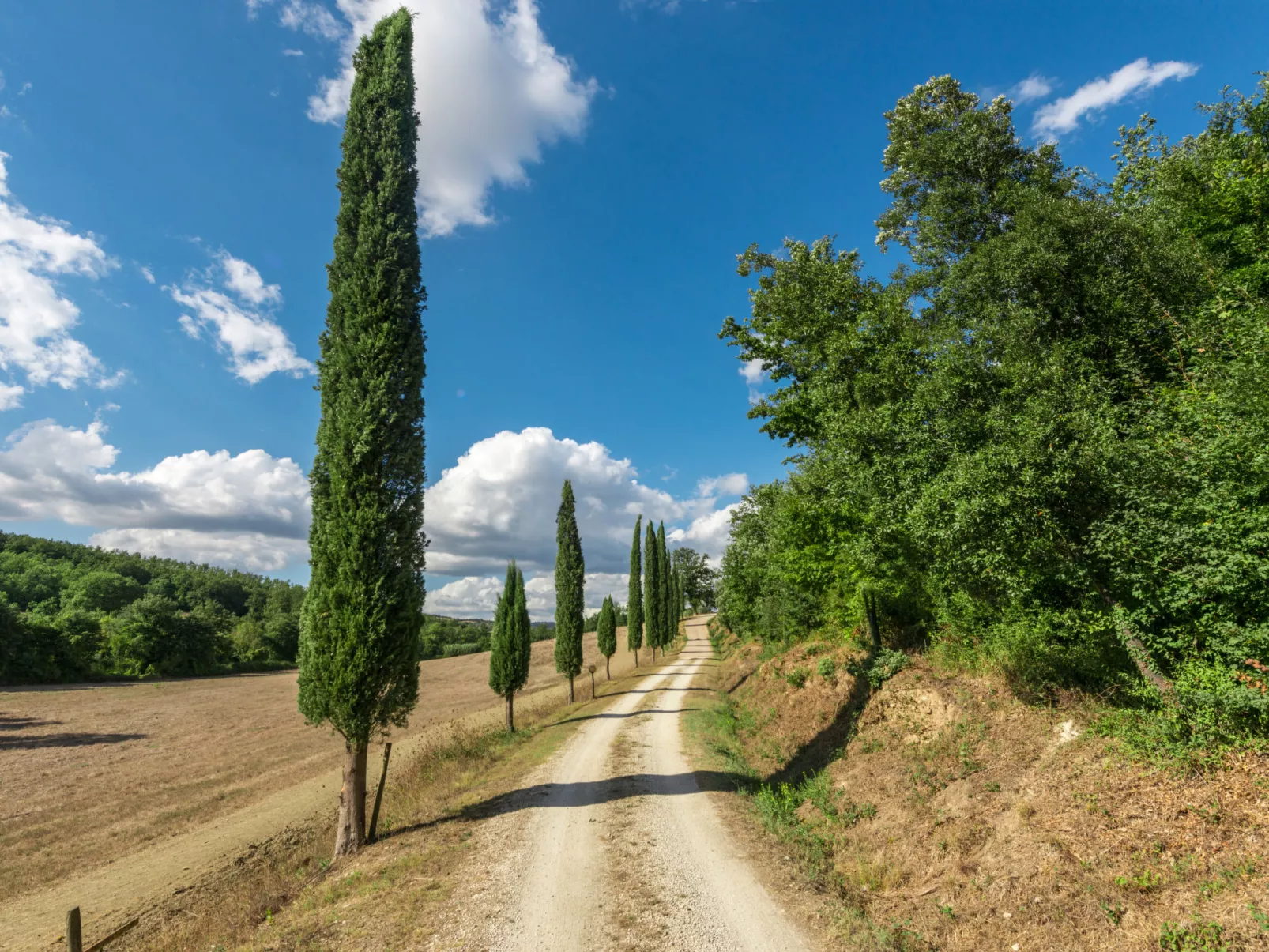 Casale Poggio Lupinaio-Outside