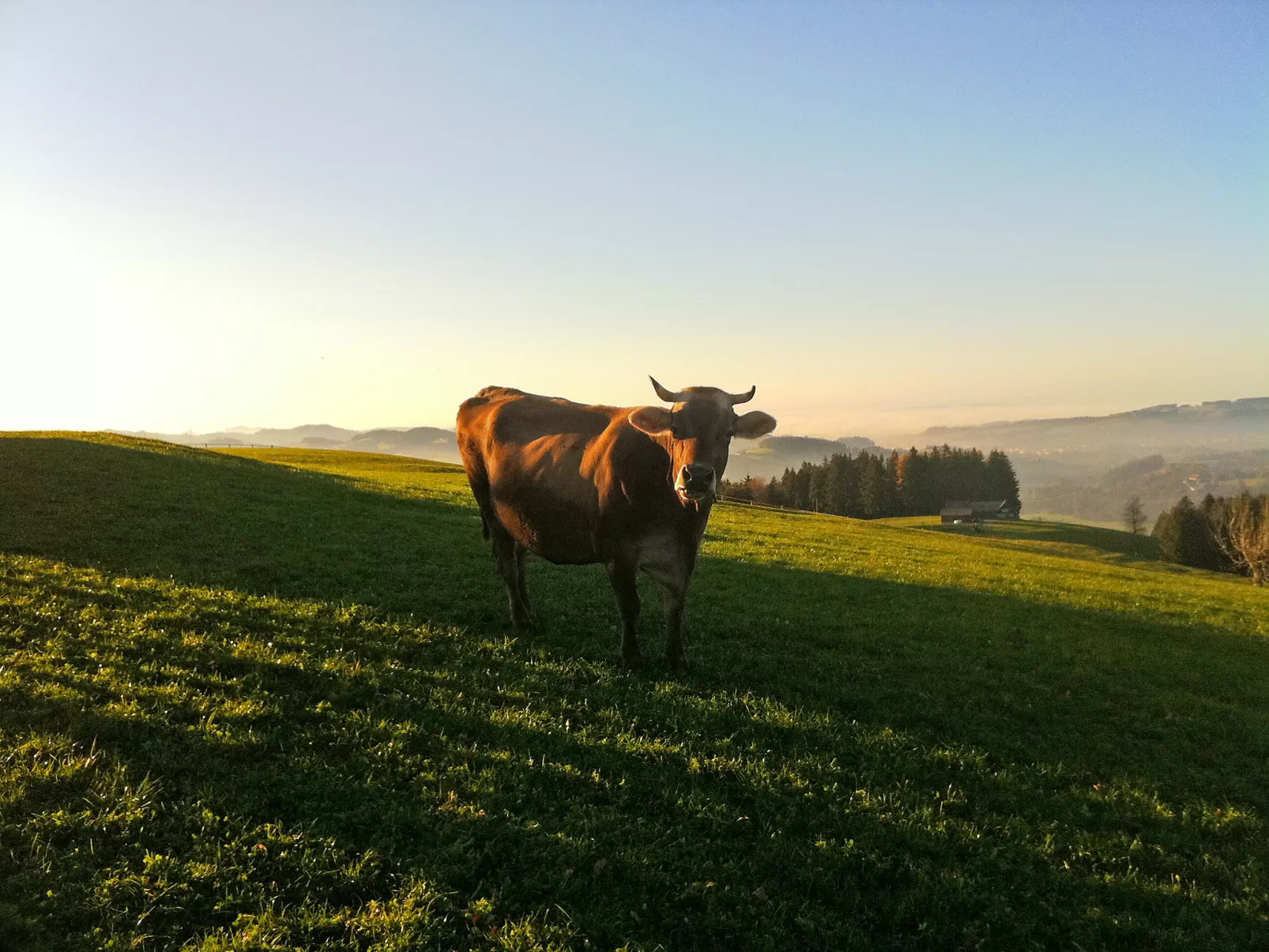 Panoramablick-Draußen