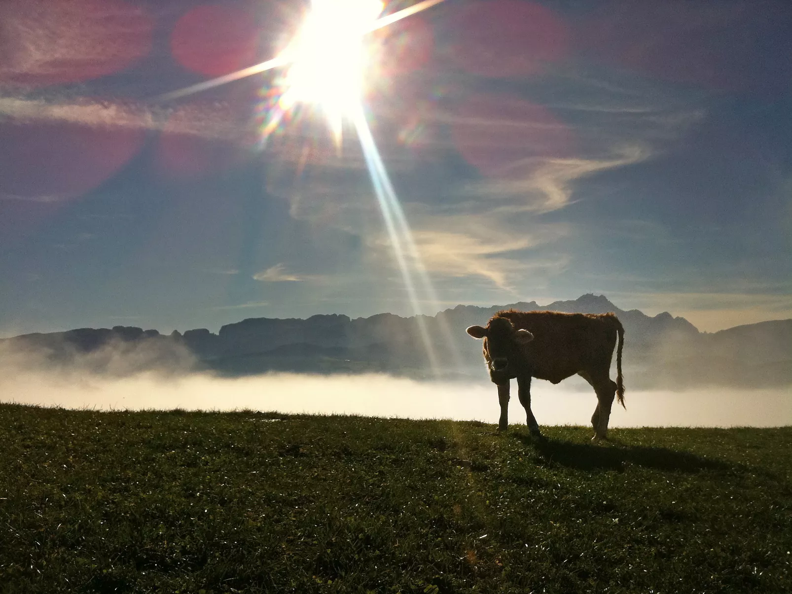 Panoramablick-Drinnen