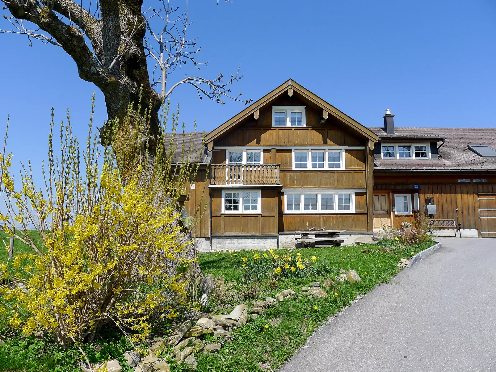 Panoramablick-Draußen